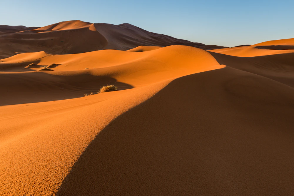 Desert Tours