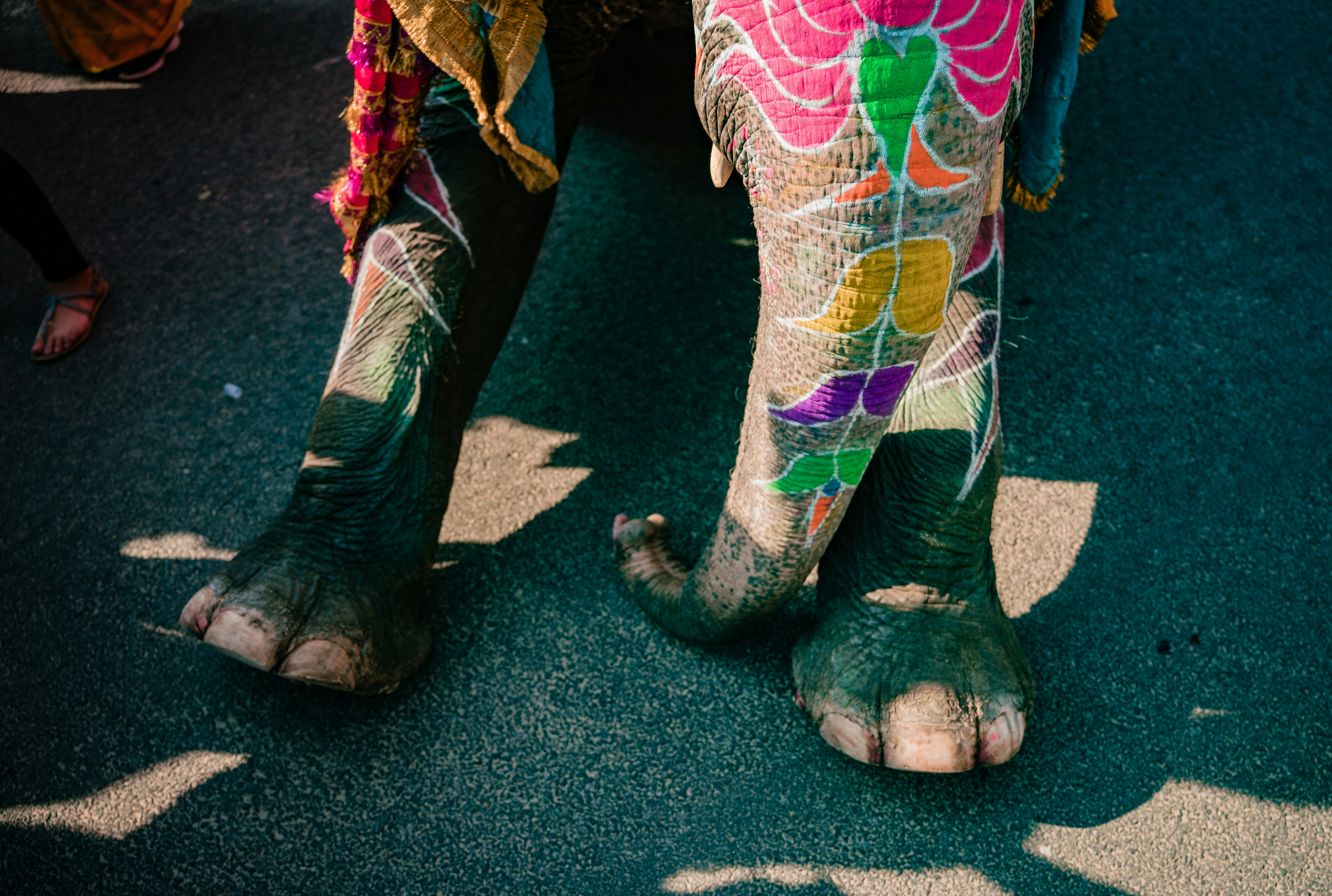 Photo by viditgoswami