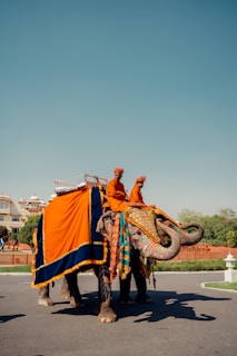 a couple of people riding an elephant