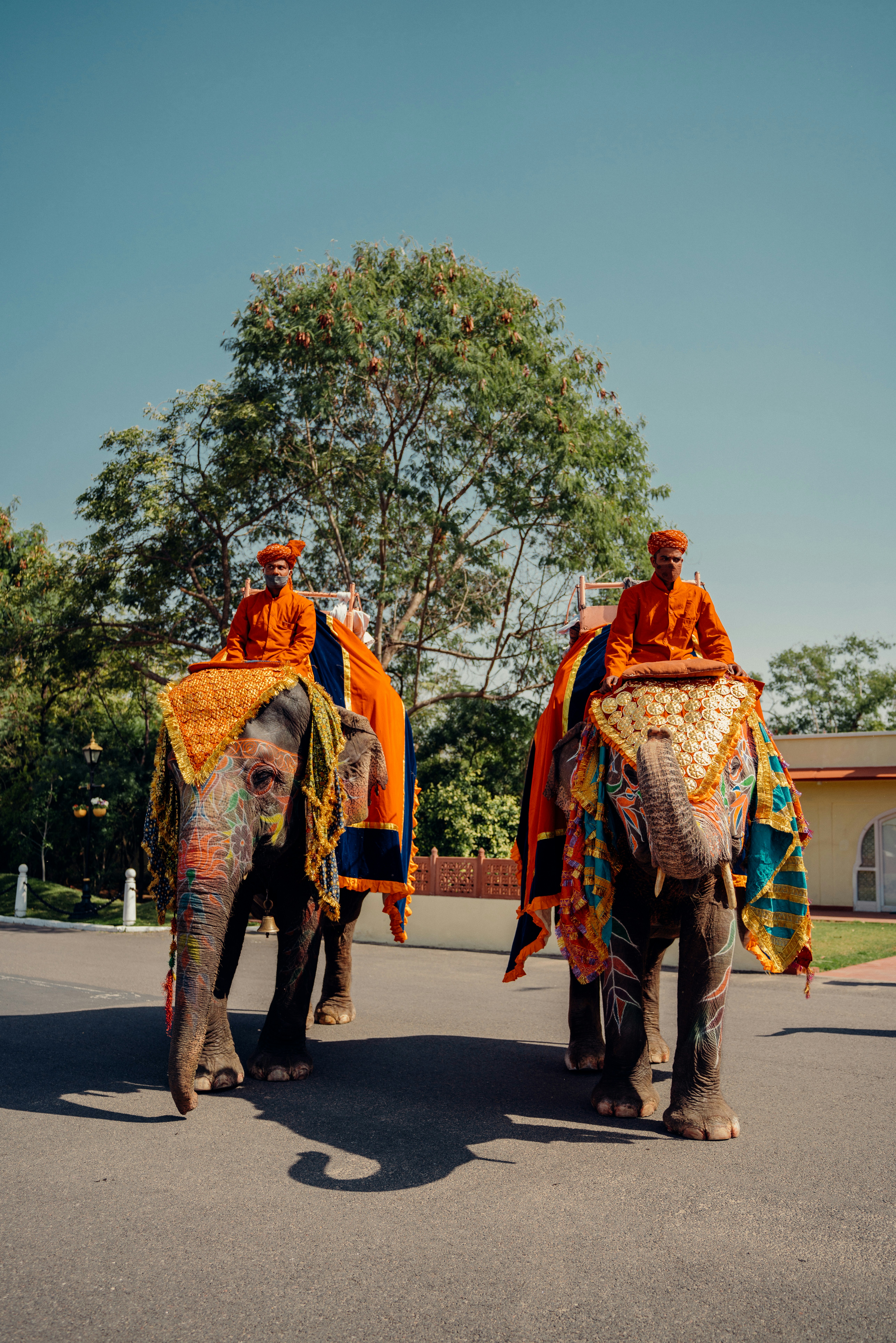 Photo by viditgoswami