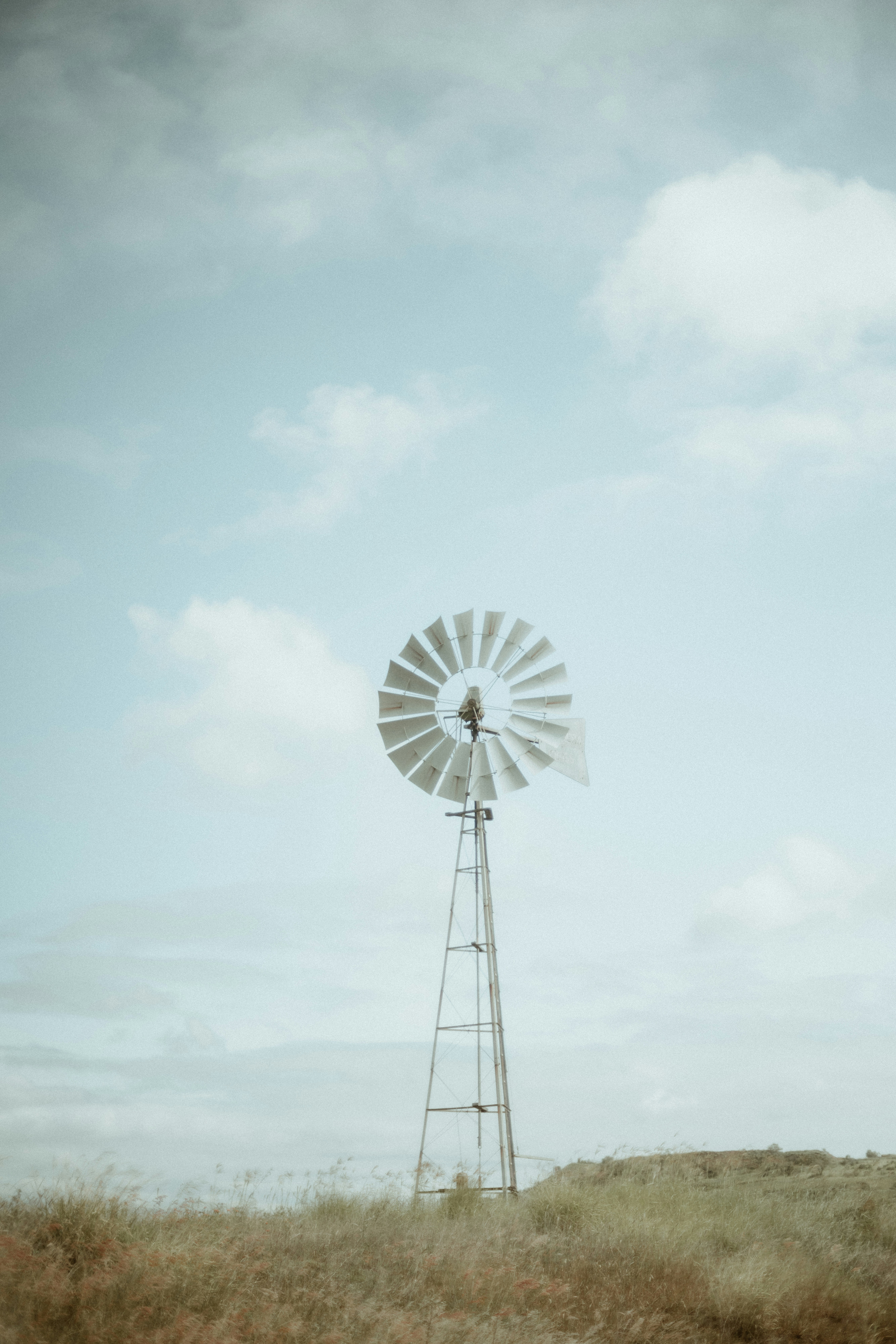 Photo by joshwithers