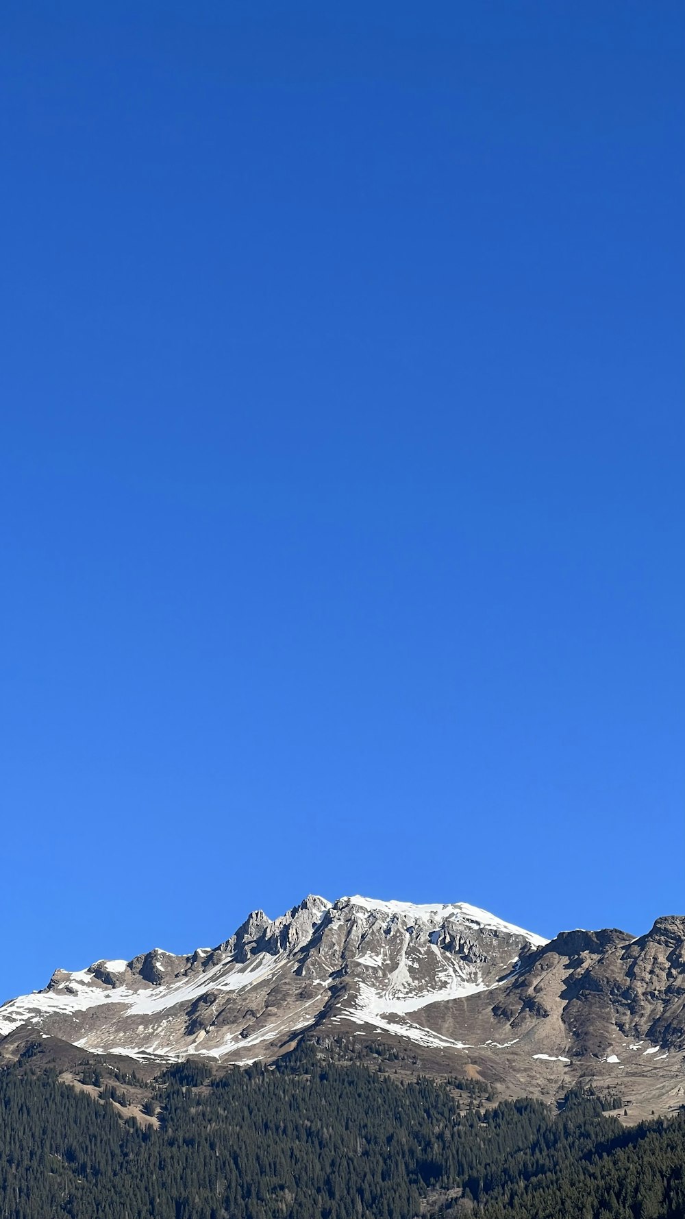 a snowy mountain with trees