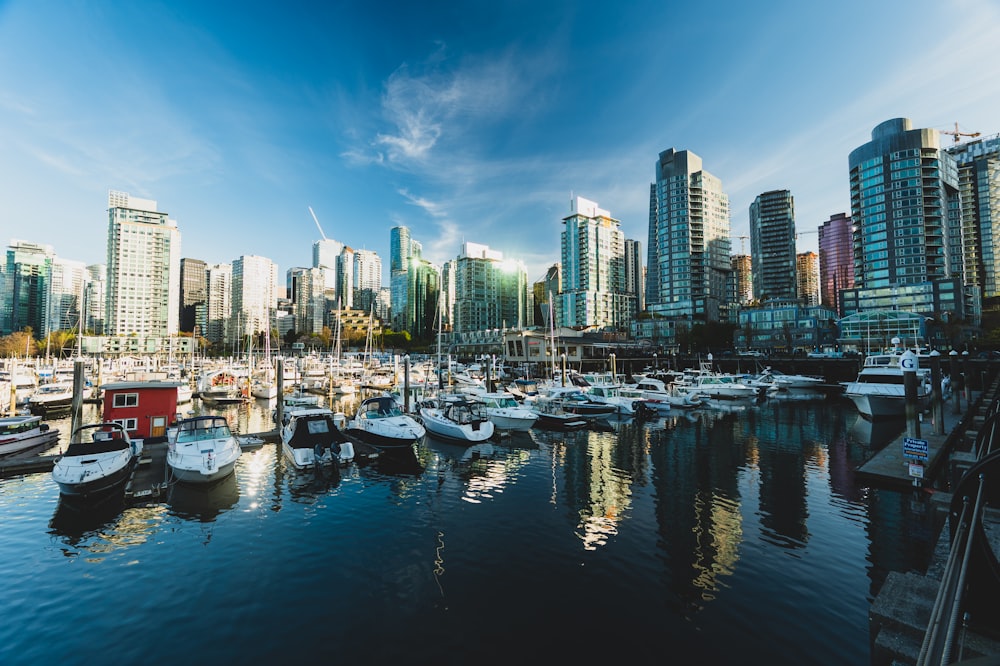 a harbor with many boats and a city in the background