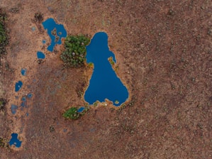 An aerial view of a marshland landscape featuring a central blue body of water surrounded by brownish vegetation. Scattered patches of green foliage are visible, with smaller blue water formations nearby, creating a natural mosaic.