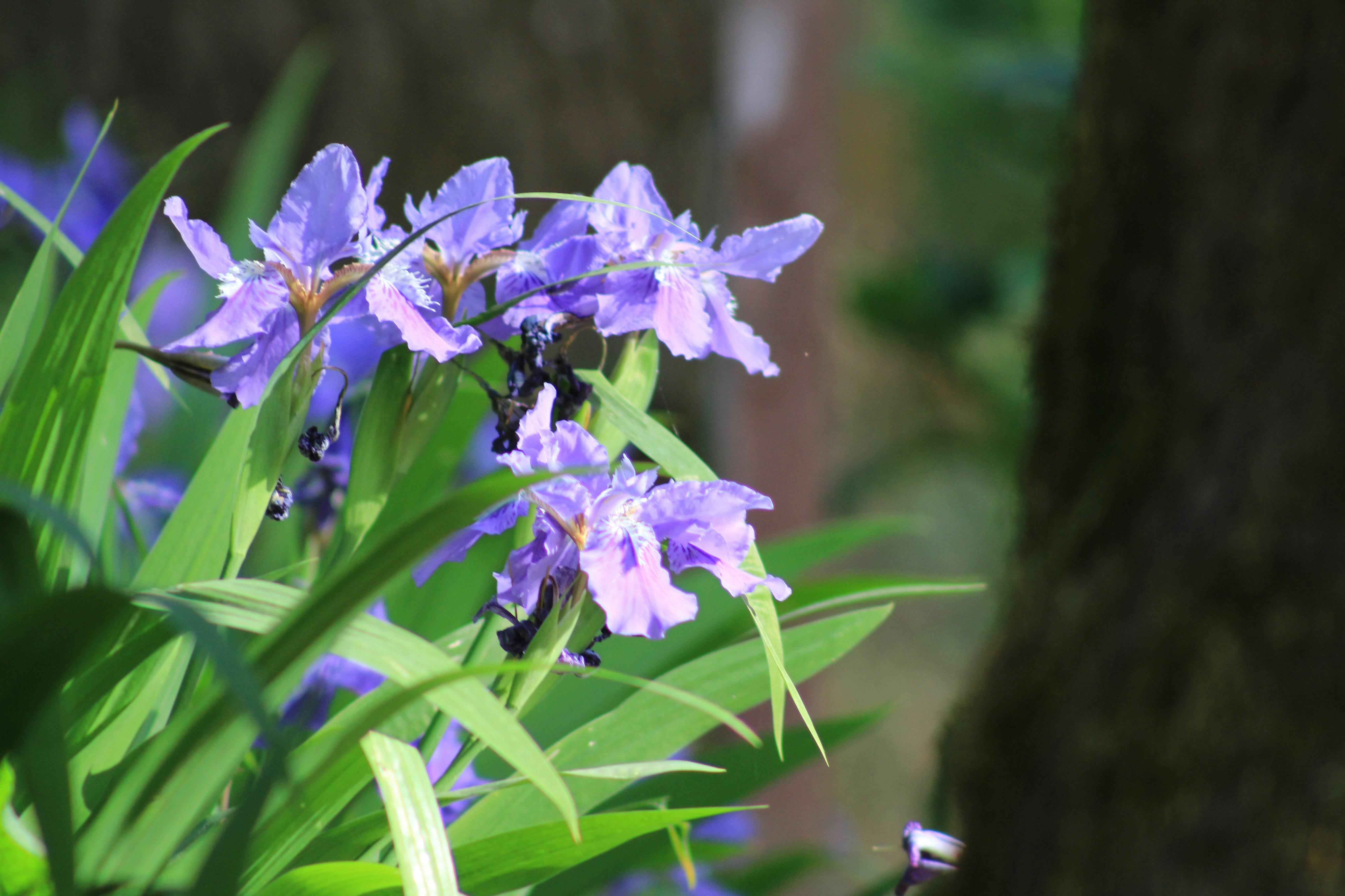 Photo by kumaraditya86