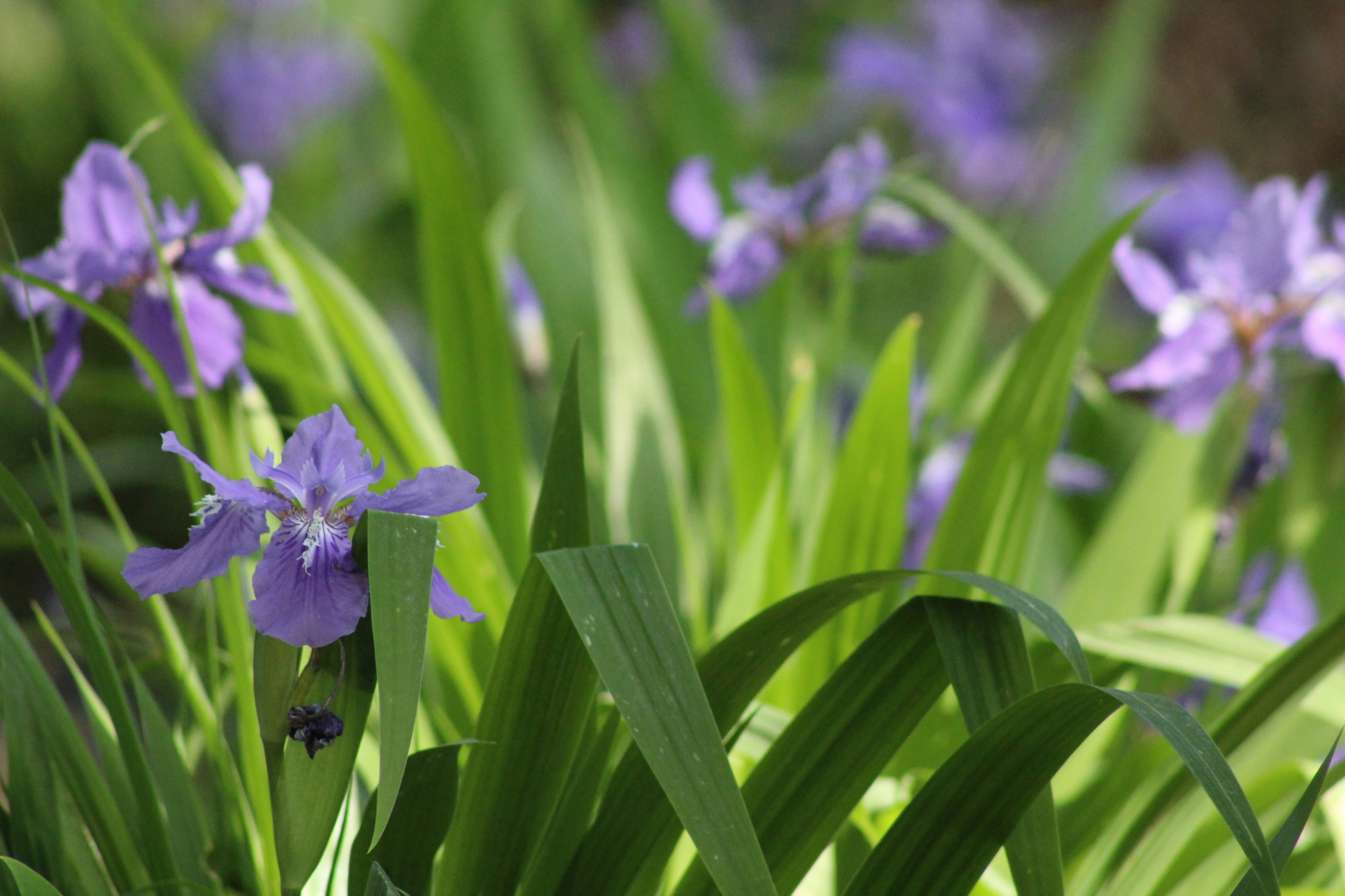 Photo by kumaraditya86