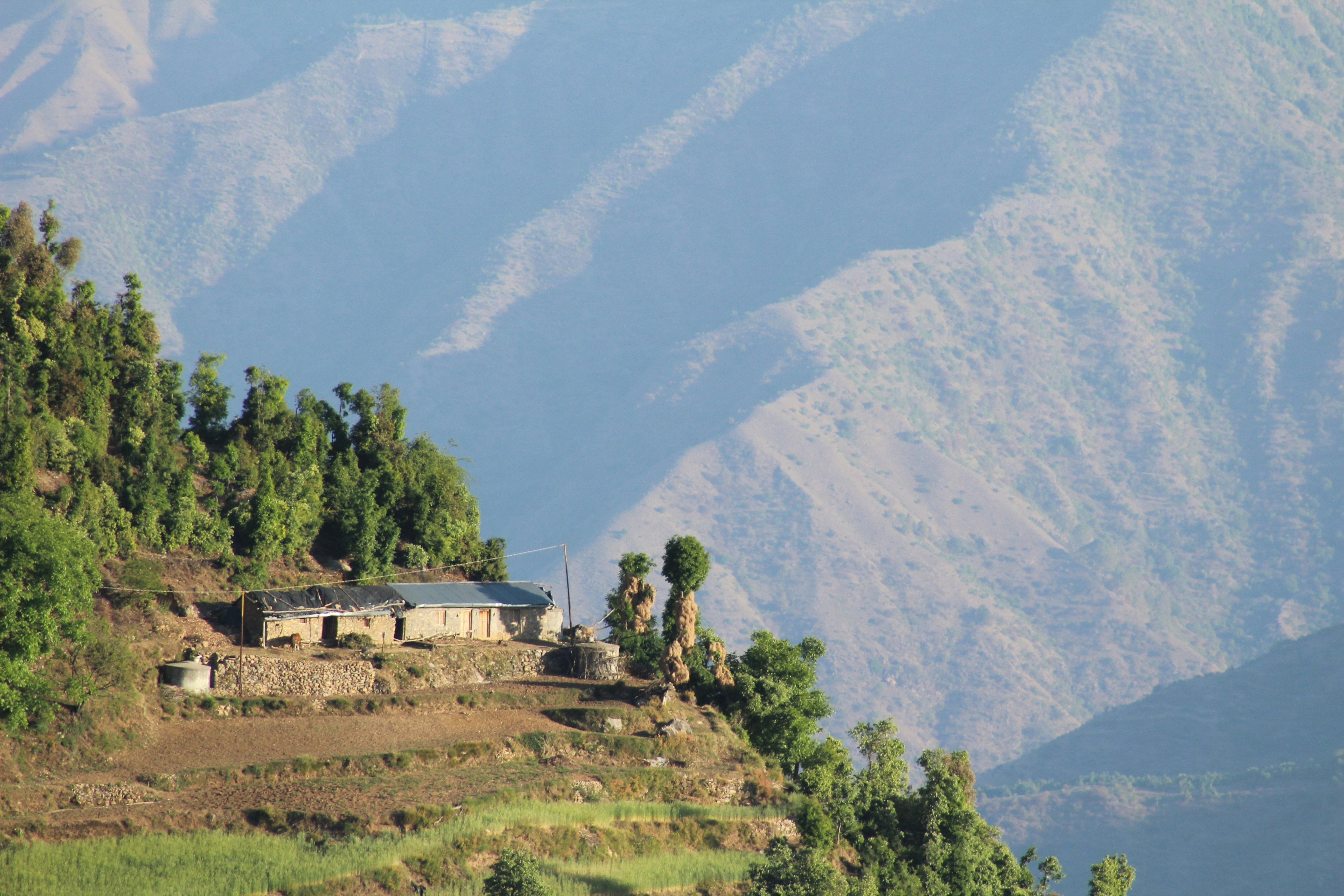 Photo by kumaraditya86