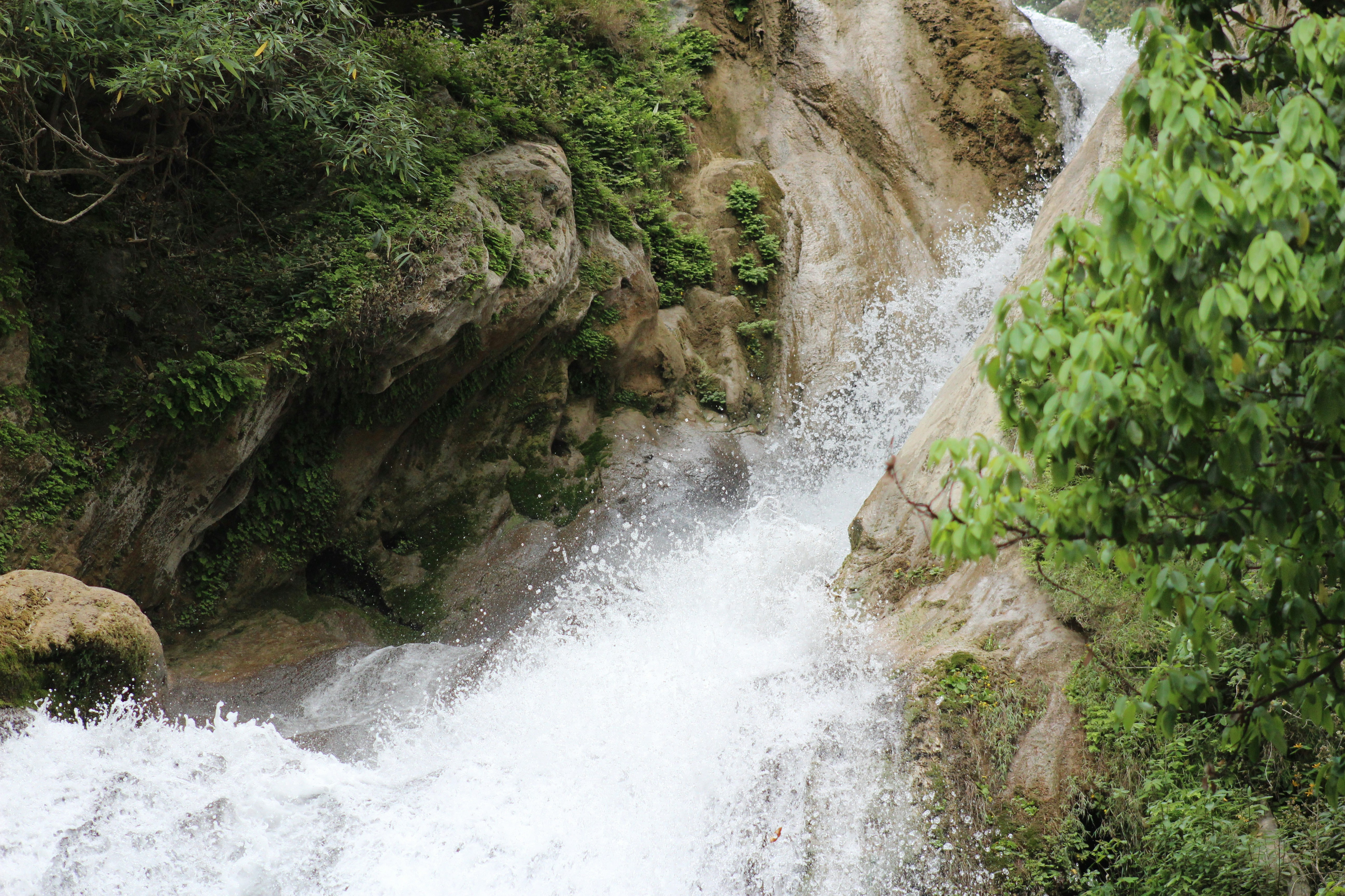 Photo by kumaraditya86