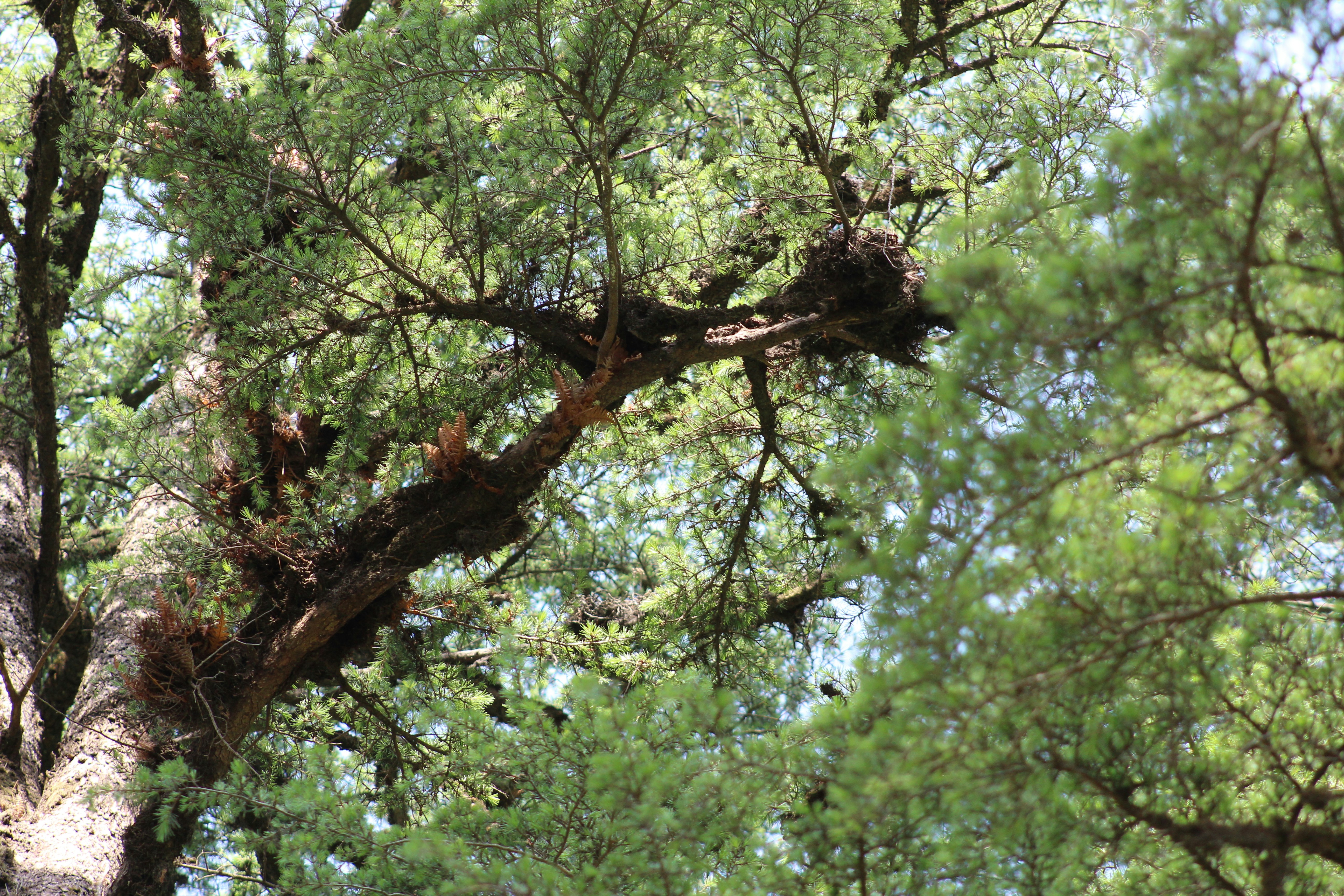 Photo by kumaraditya86