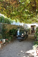 A small motorized vehicle is parked in a courtyard surrounded by lush greenery. Overhead, a canopy of grapevines provides shade. Various potted plants are arranged on the ground and on benches against a stone wall. A doorway with a partially visible figure is in the background.