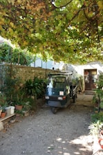 A small motorized vehicle is parked in a courtyard surrounded by lush greenery. Overhead, a canopy of grapevines provides shade. Various potted plants are arranged on the ground and on benches against a stone wall. A doorway with a partially visible figure is in the background.