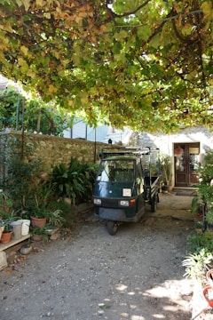 A small motorized vehicle is parked in a courtyard surrounded by lush greenery. Overhead, a canopy of grapevines provides shade. Various potted plants are arranged on the ground and on benches against a stone wall. A doorway with a partially visible figure is in the background.