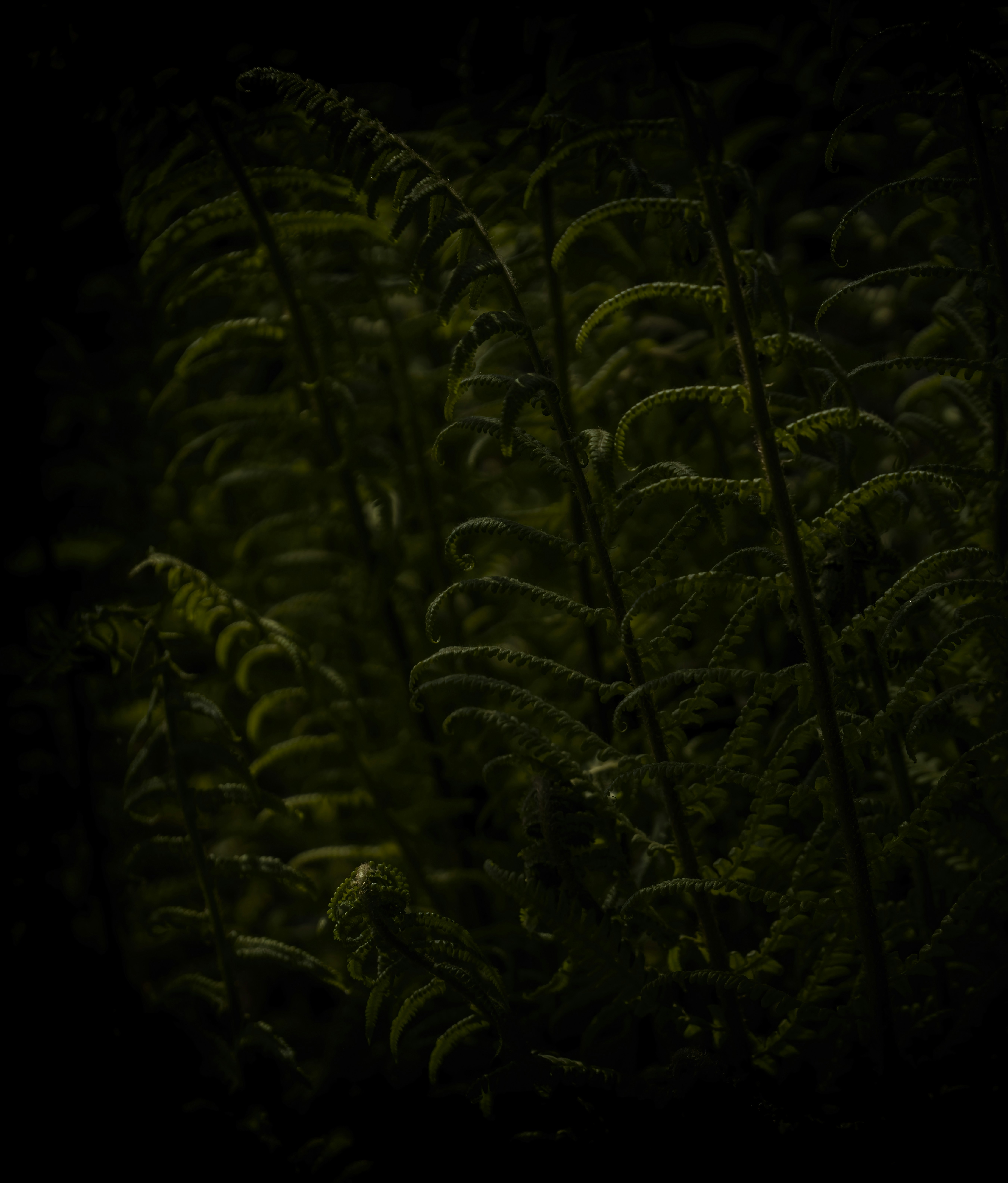 Photo by rgaleriacom