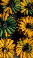 Several clusters of bananas are displayed, with varying ripeness from green to yellow. The bananas are neatly arranged against a dark background, highlighting their vibrant colors.