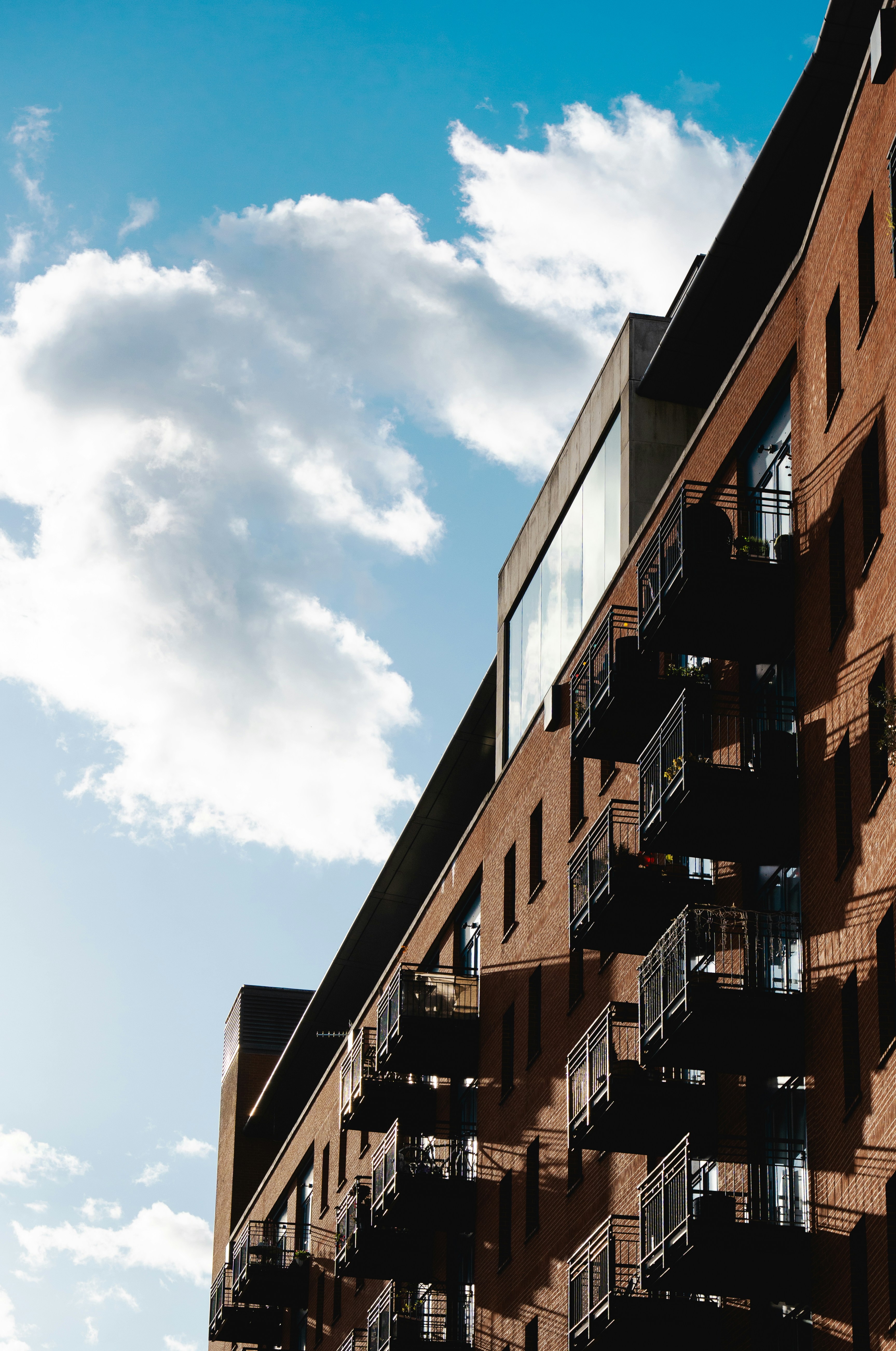 Photo by shashanksahay