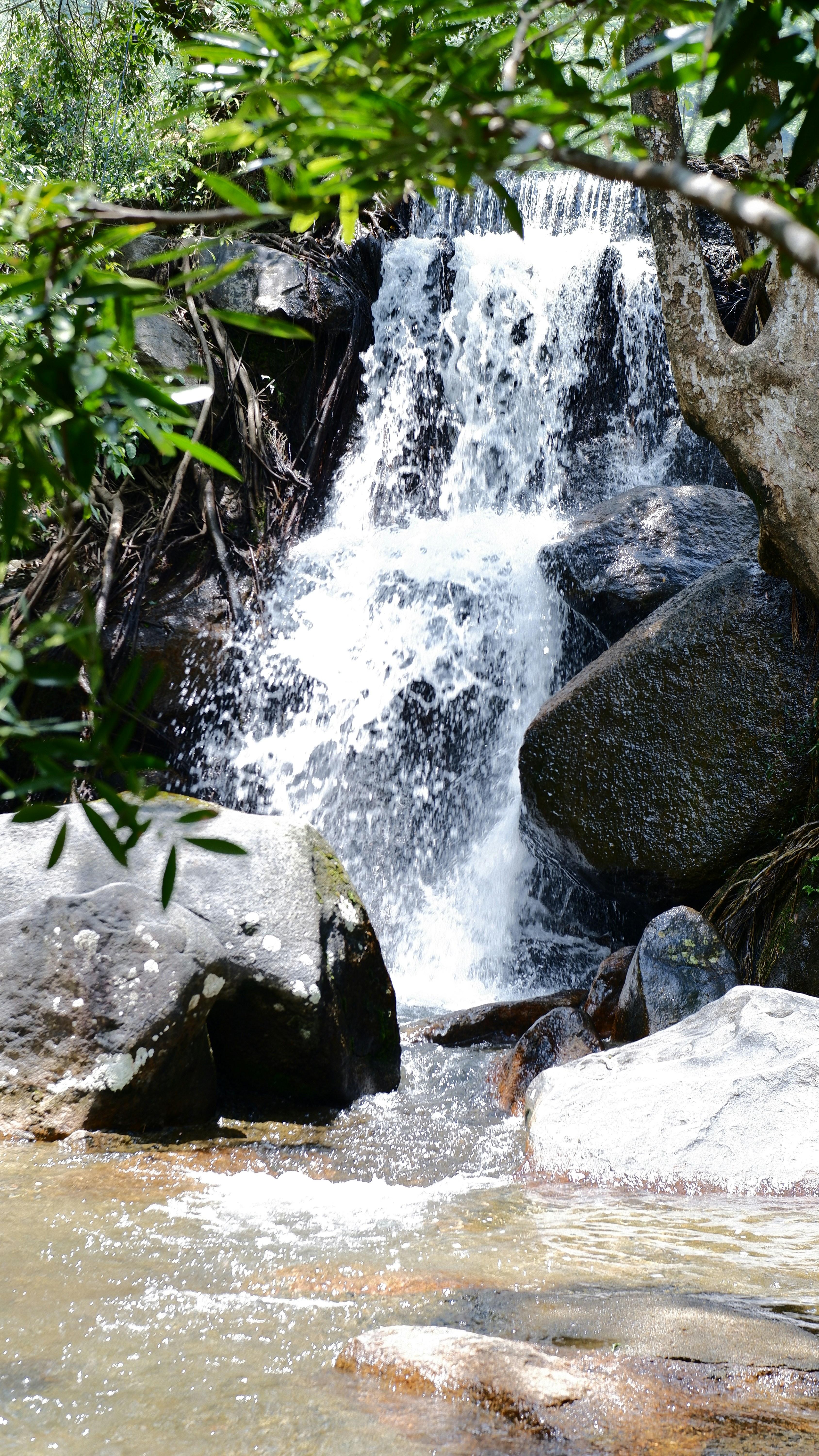 Photo by dvhoang2106