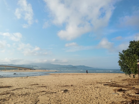 a person walking on a beach