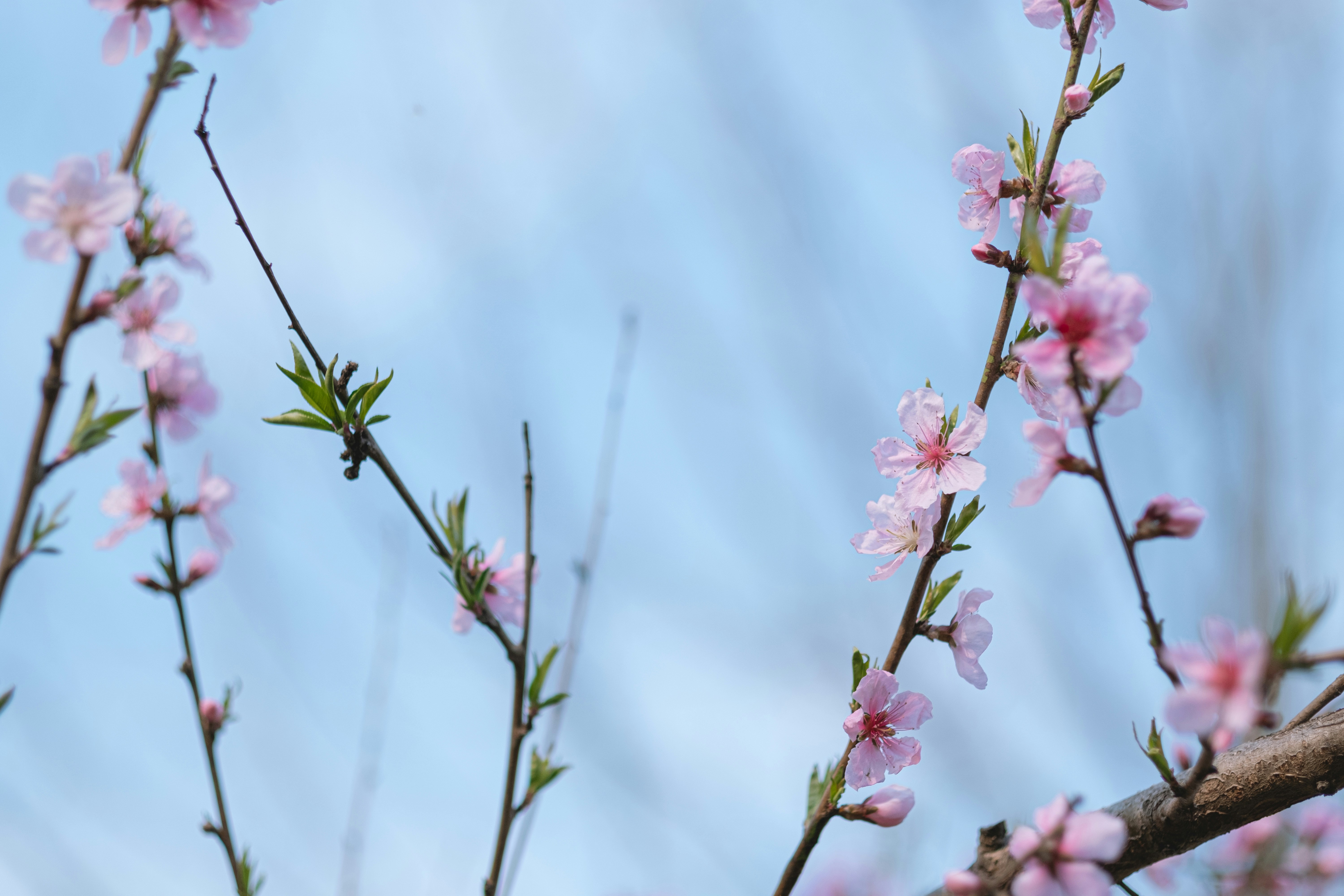 Photo by xiaomie99999