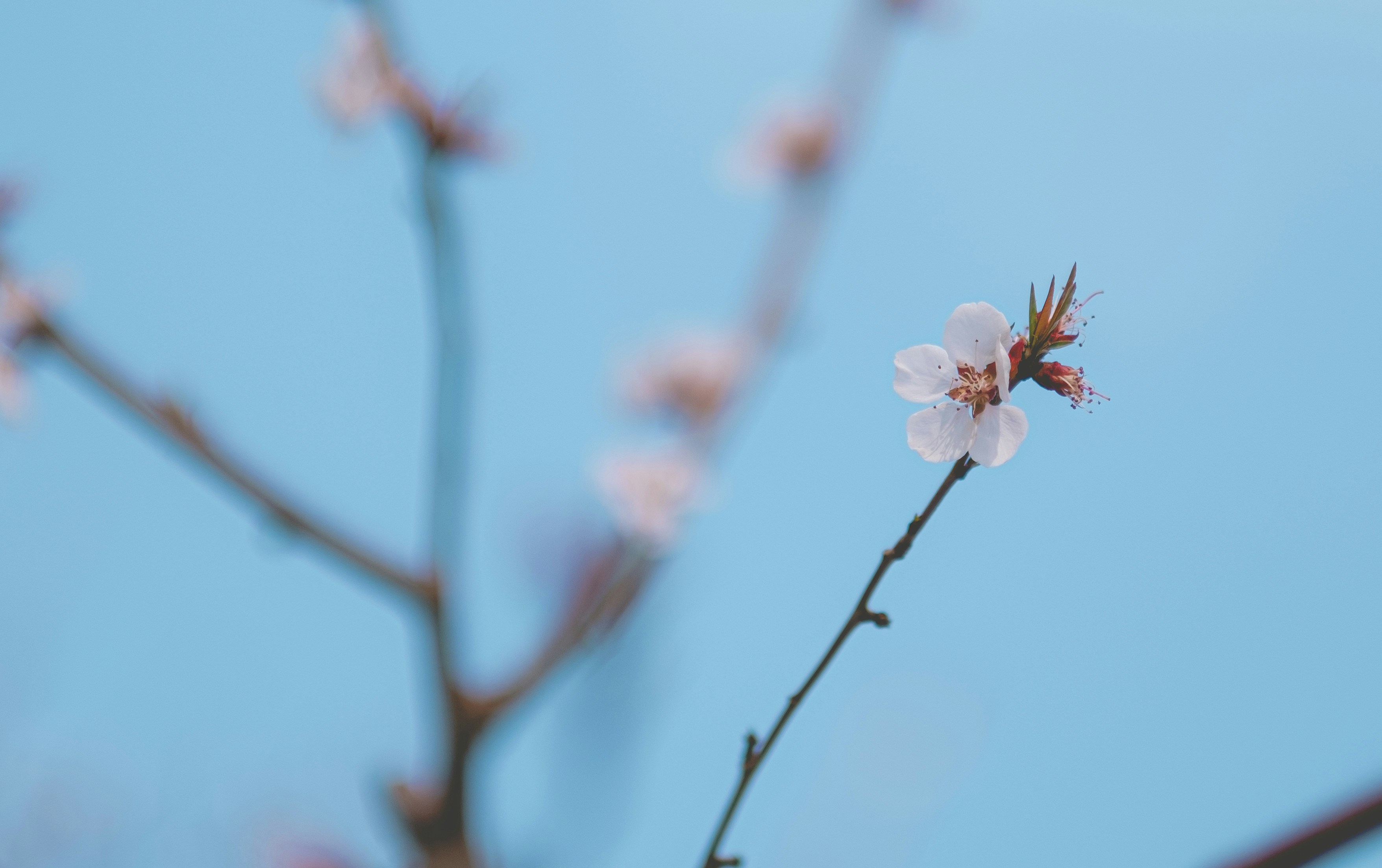 Photo by xiaomie99999