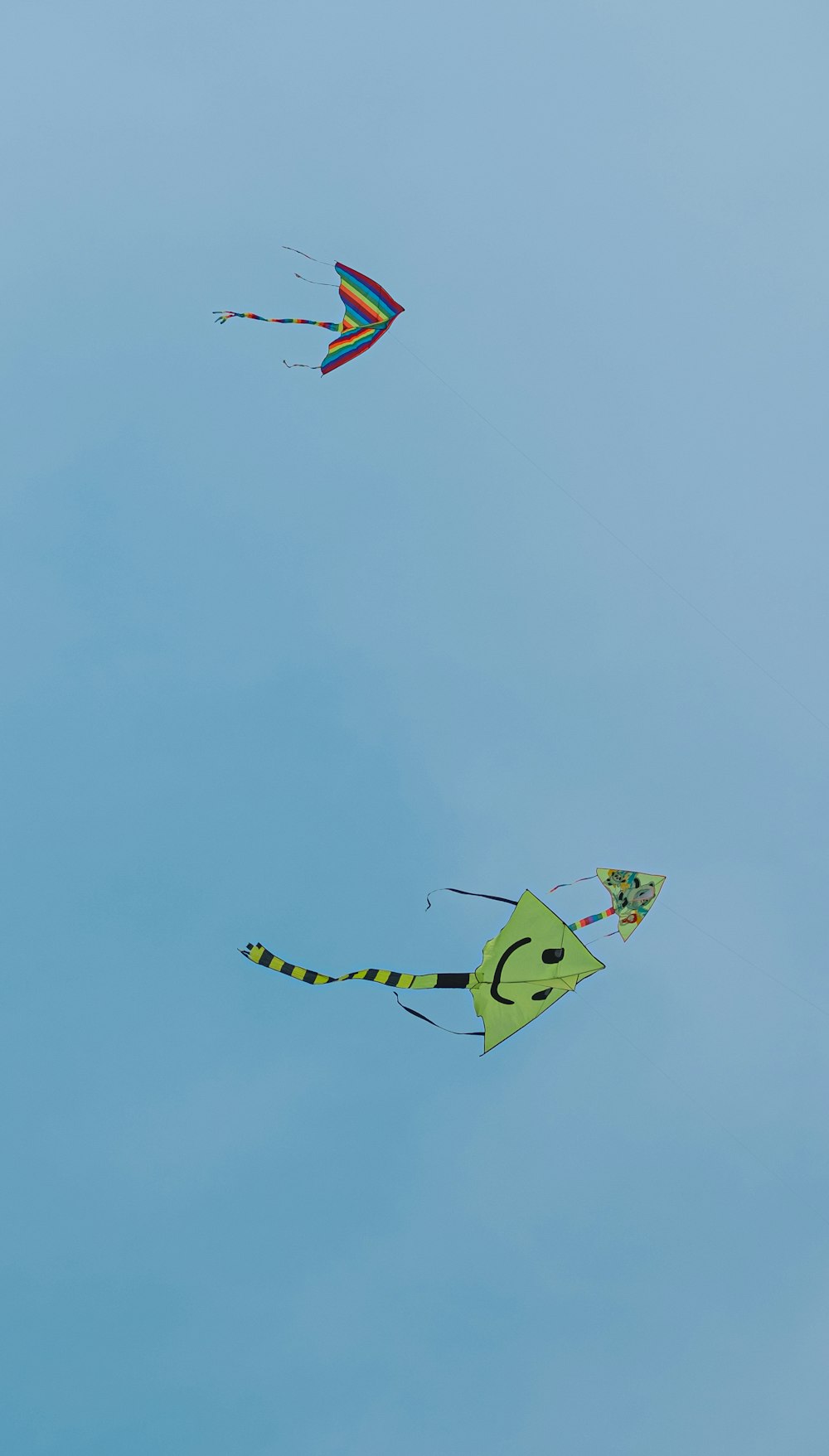 kites flying in the sky