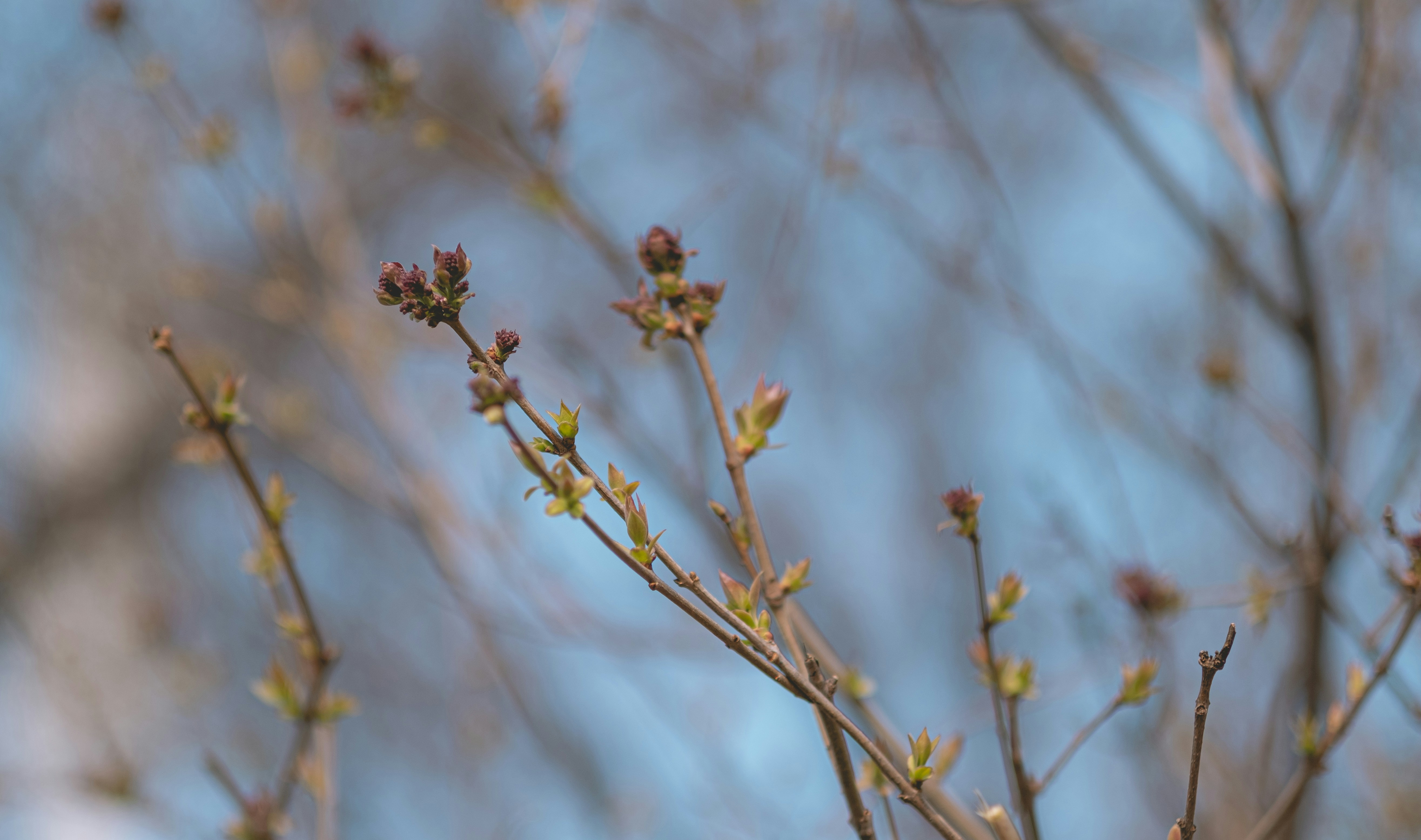 Photo by xiaomie99999