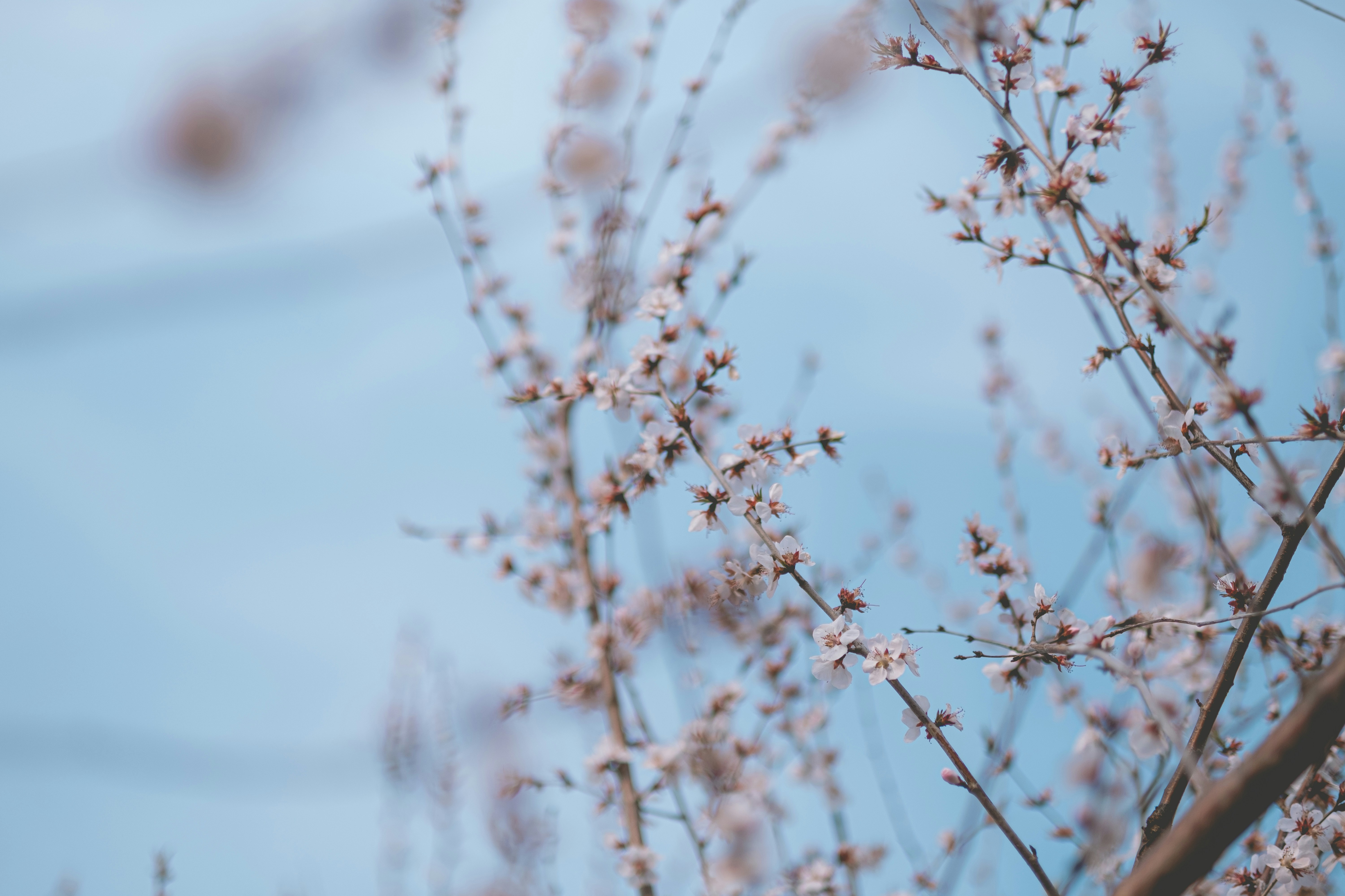 Photo by xiaomie99999