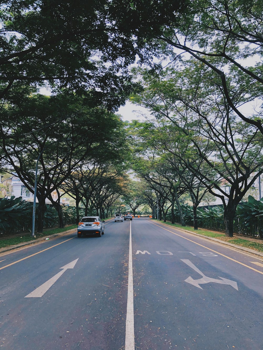 a street with cars on it and trees on the side