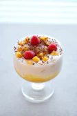 Delicate dessert featuring mango slices and coconut cream artfully arranged.