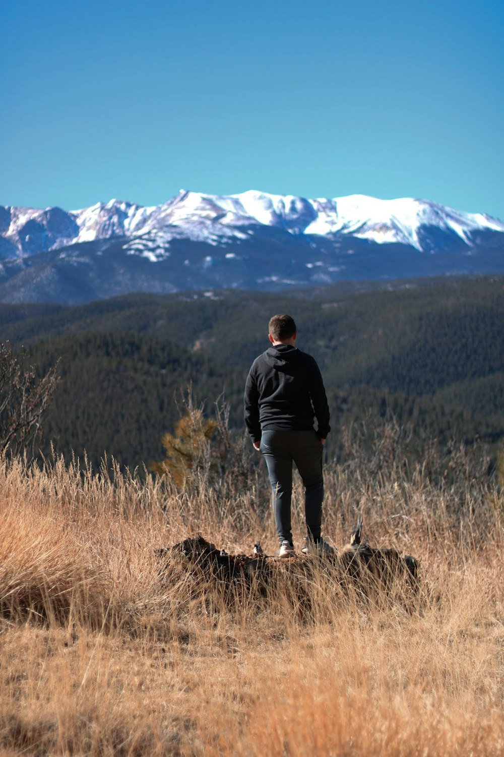 a man standing on a hill with a dog in front of him