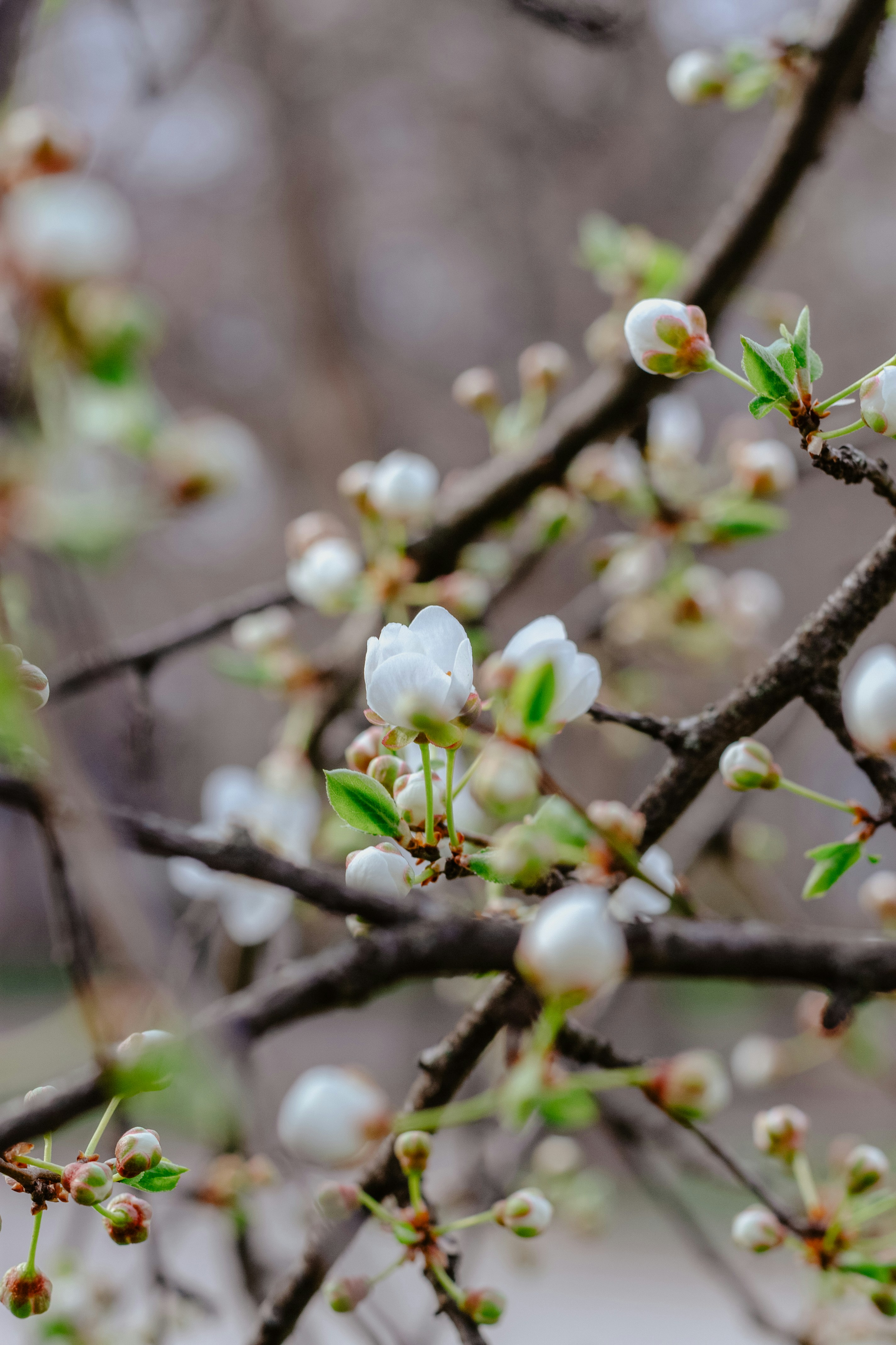 Photo by annaleksandrovishna