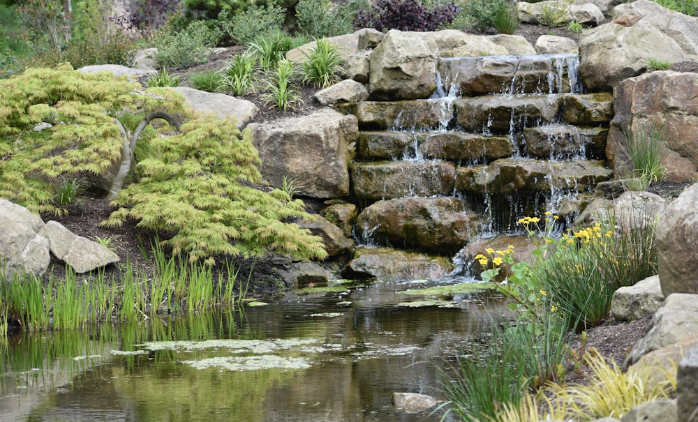 a pond with rocks and plants