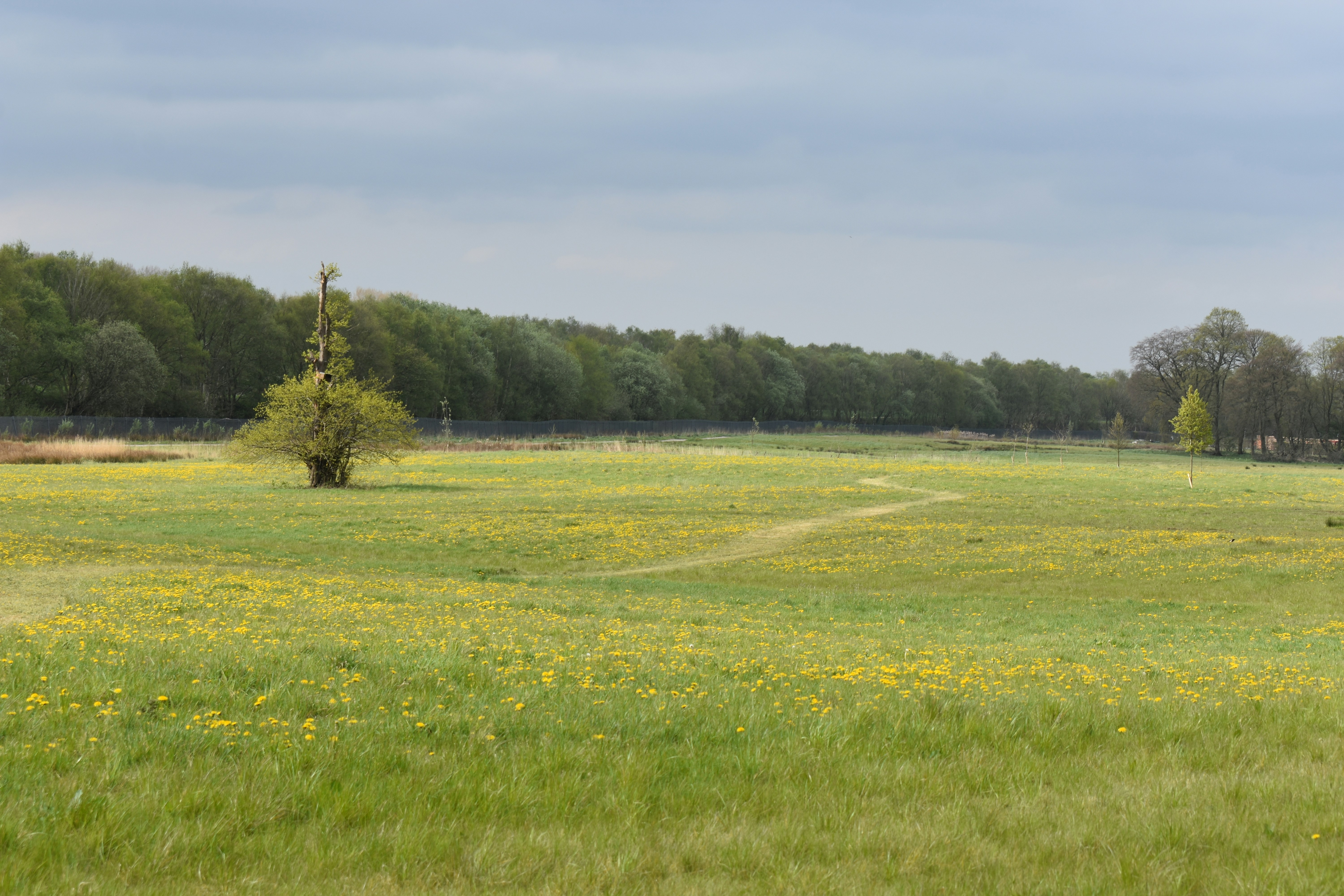 Photo by andrew_hall