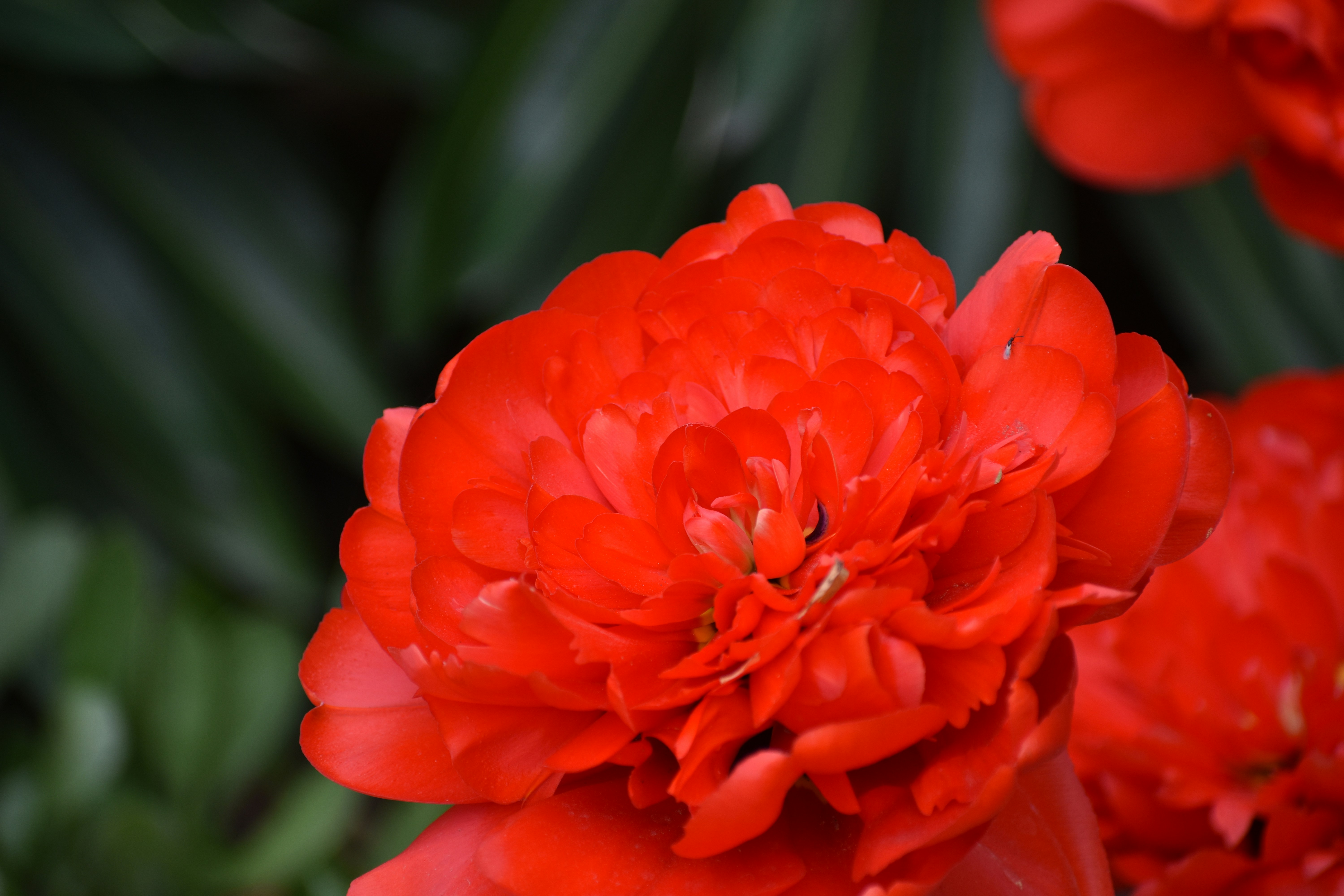 Photo by andrew_hall