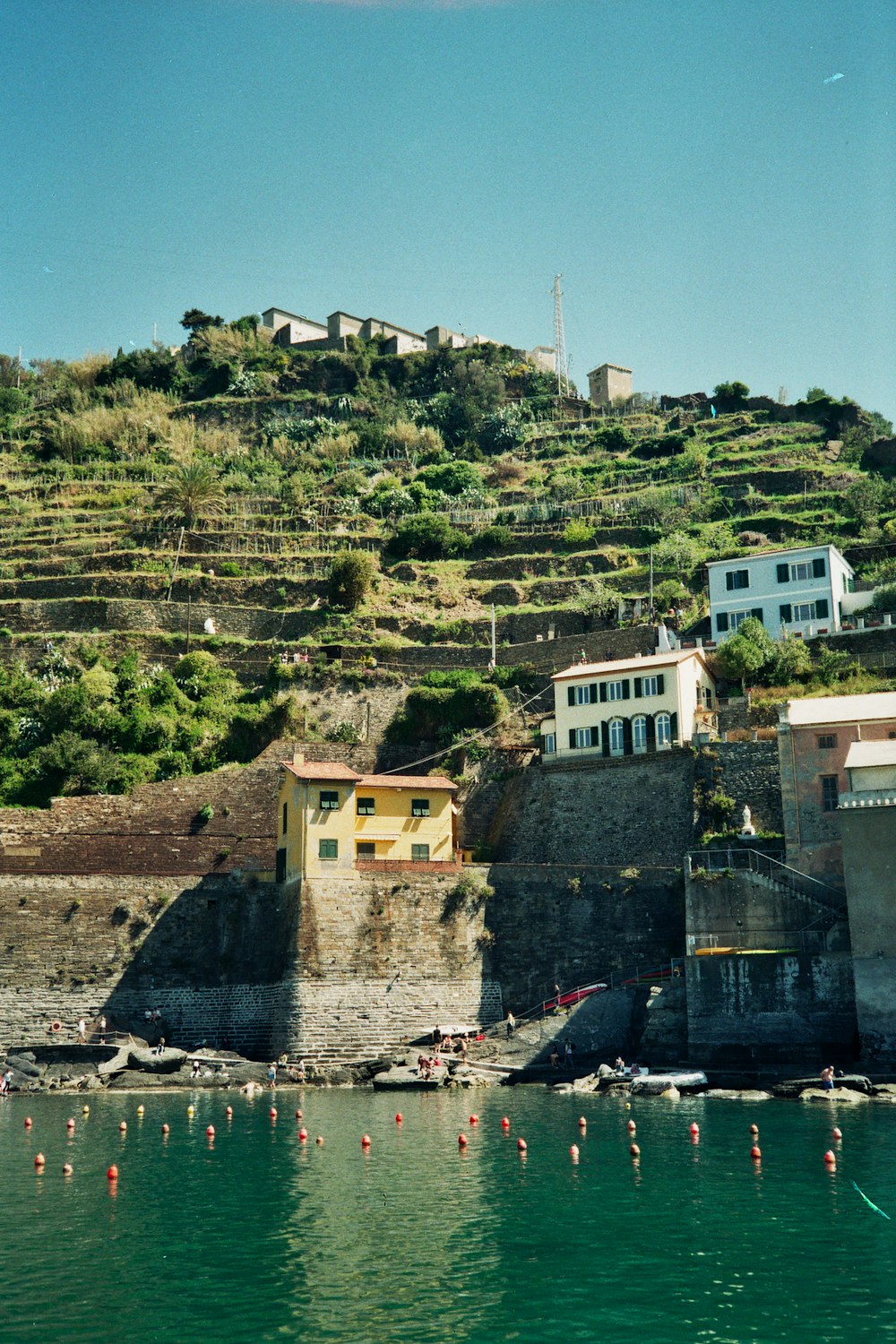 a body of water with buildings and trees around it