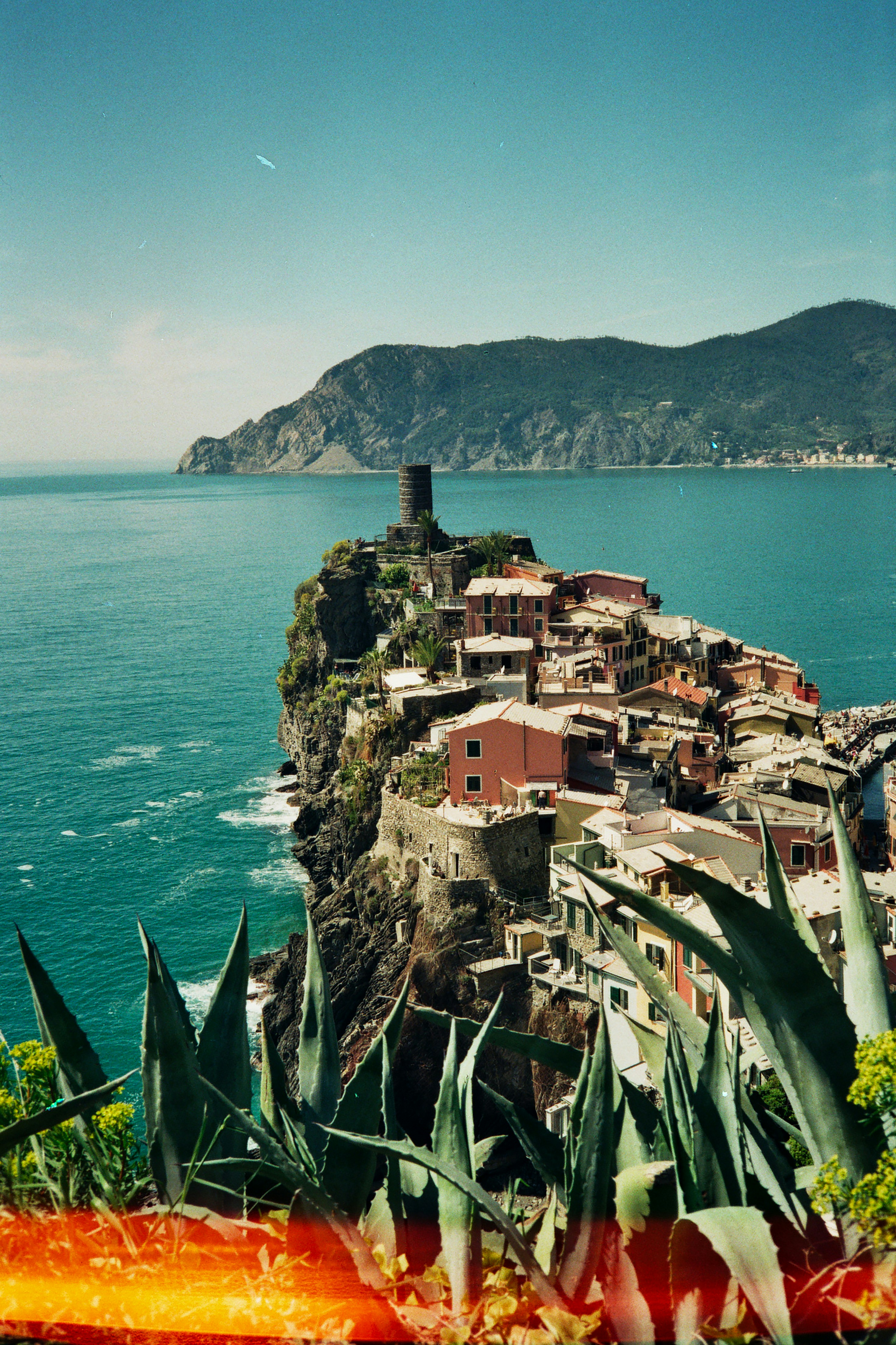 Photo by damiano_baschiera