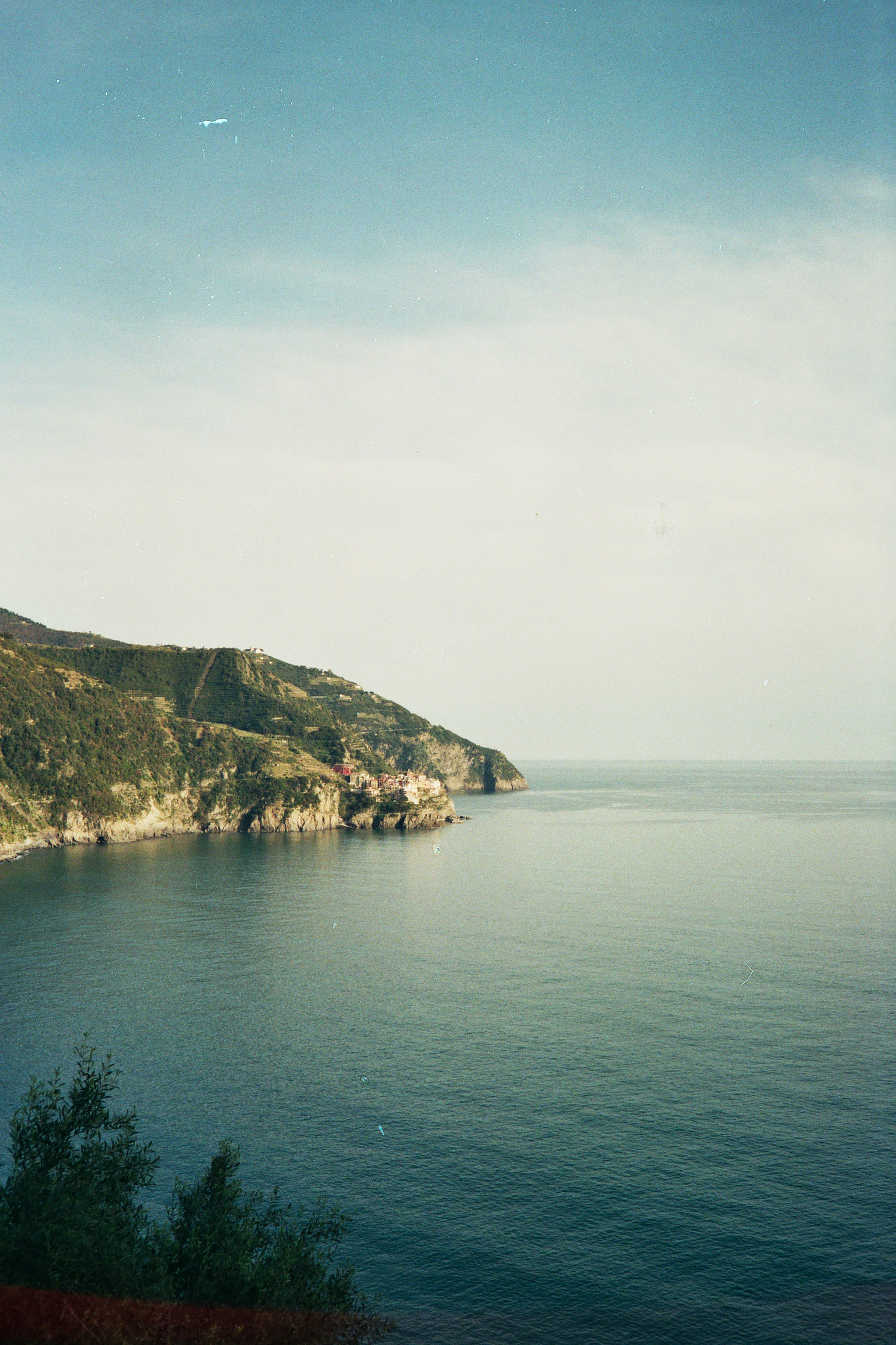Photo by damiano_baschiera
