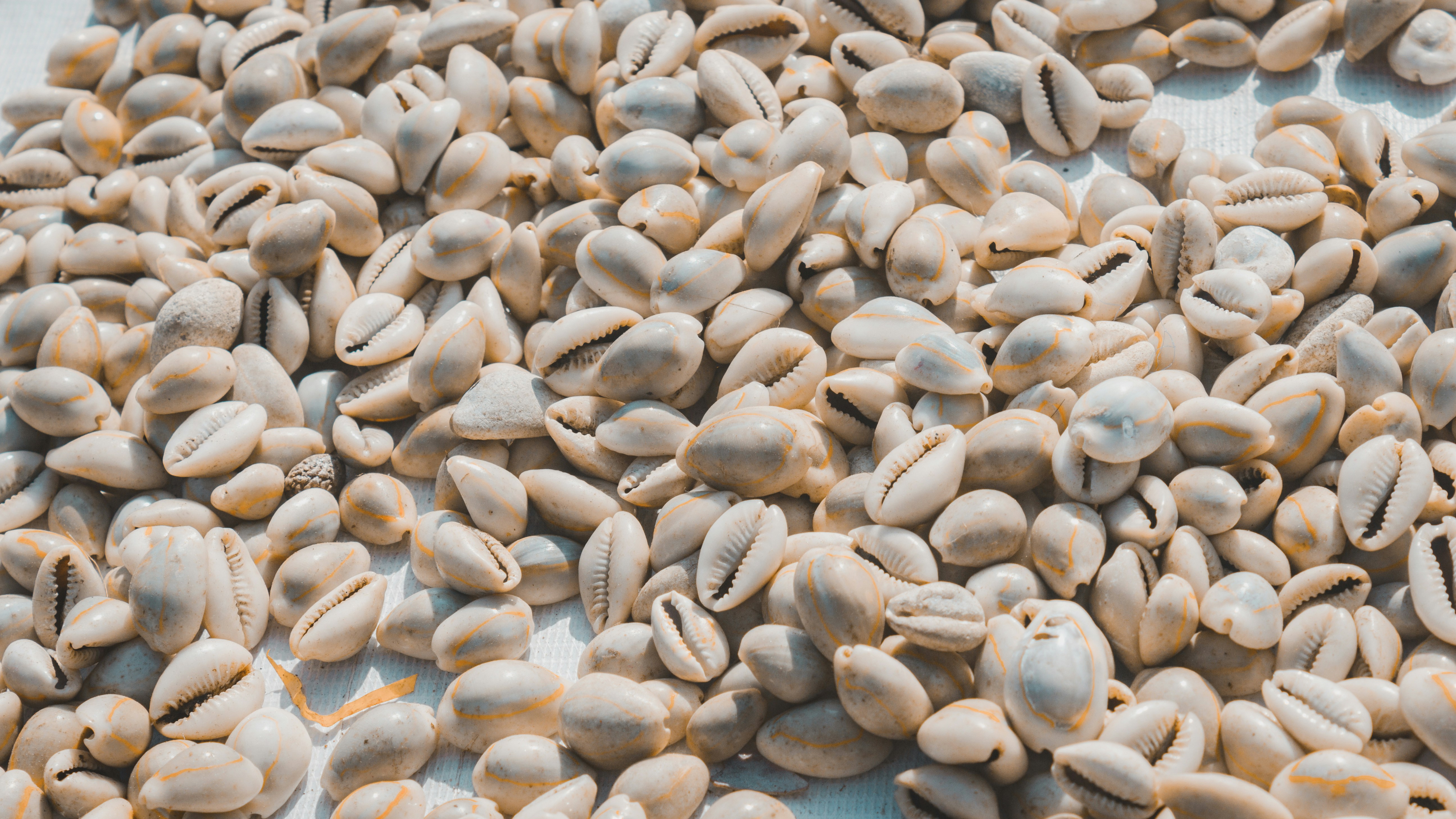 Photo by abhijitchirde