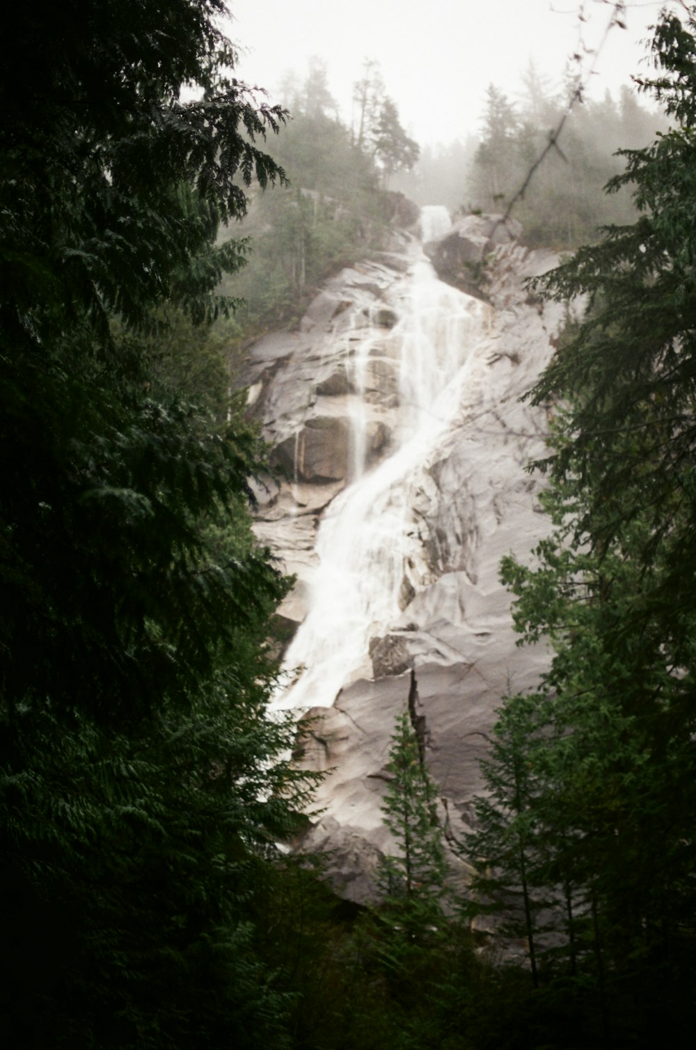 a waterfall in a forest