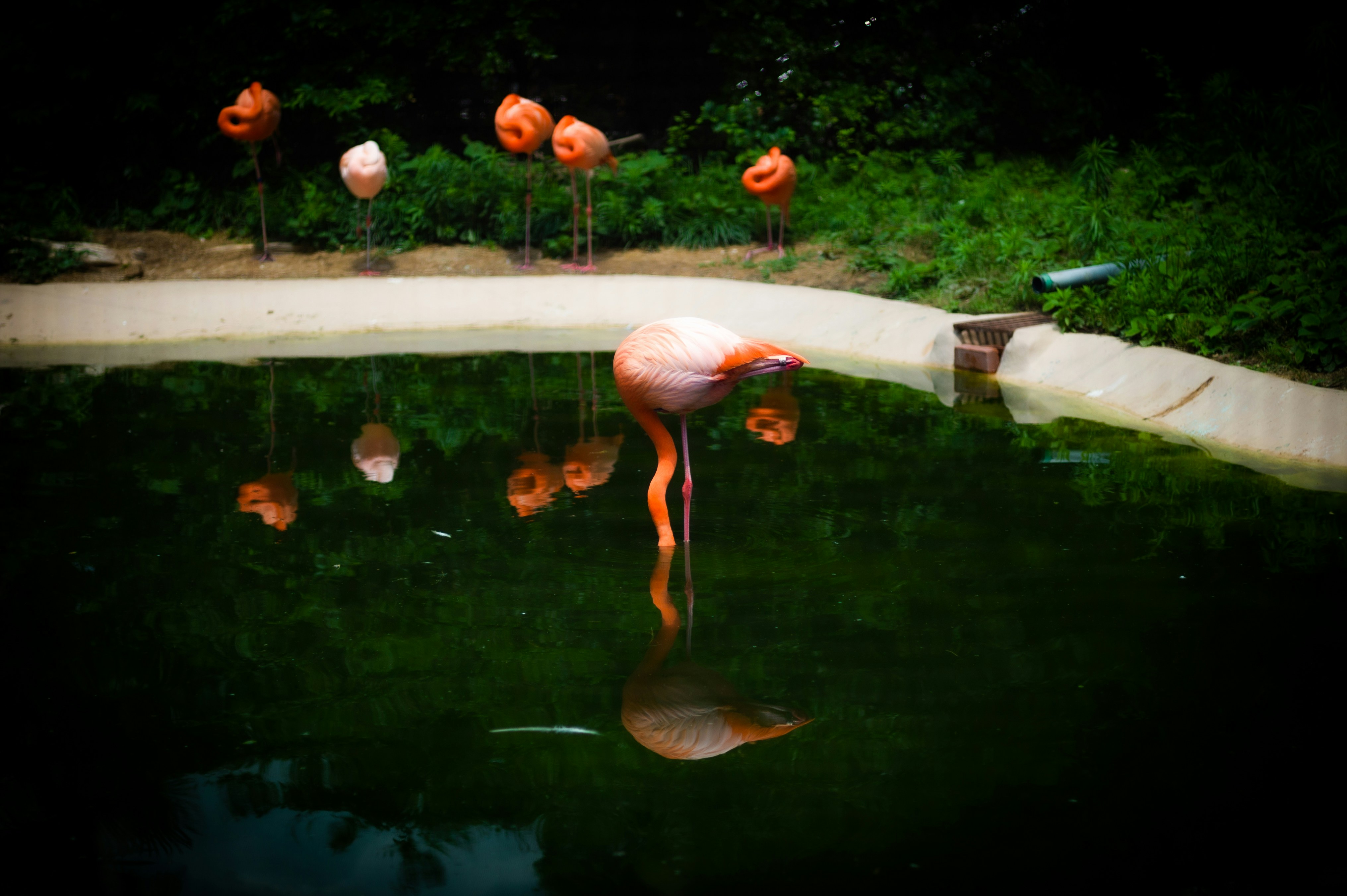 Photo by moollyem