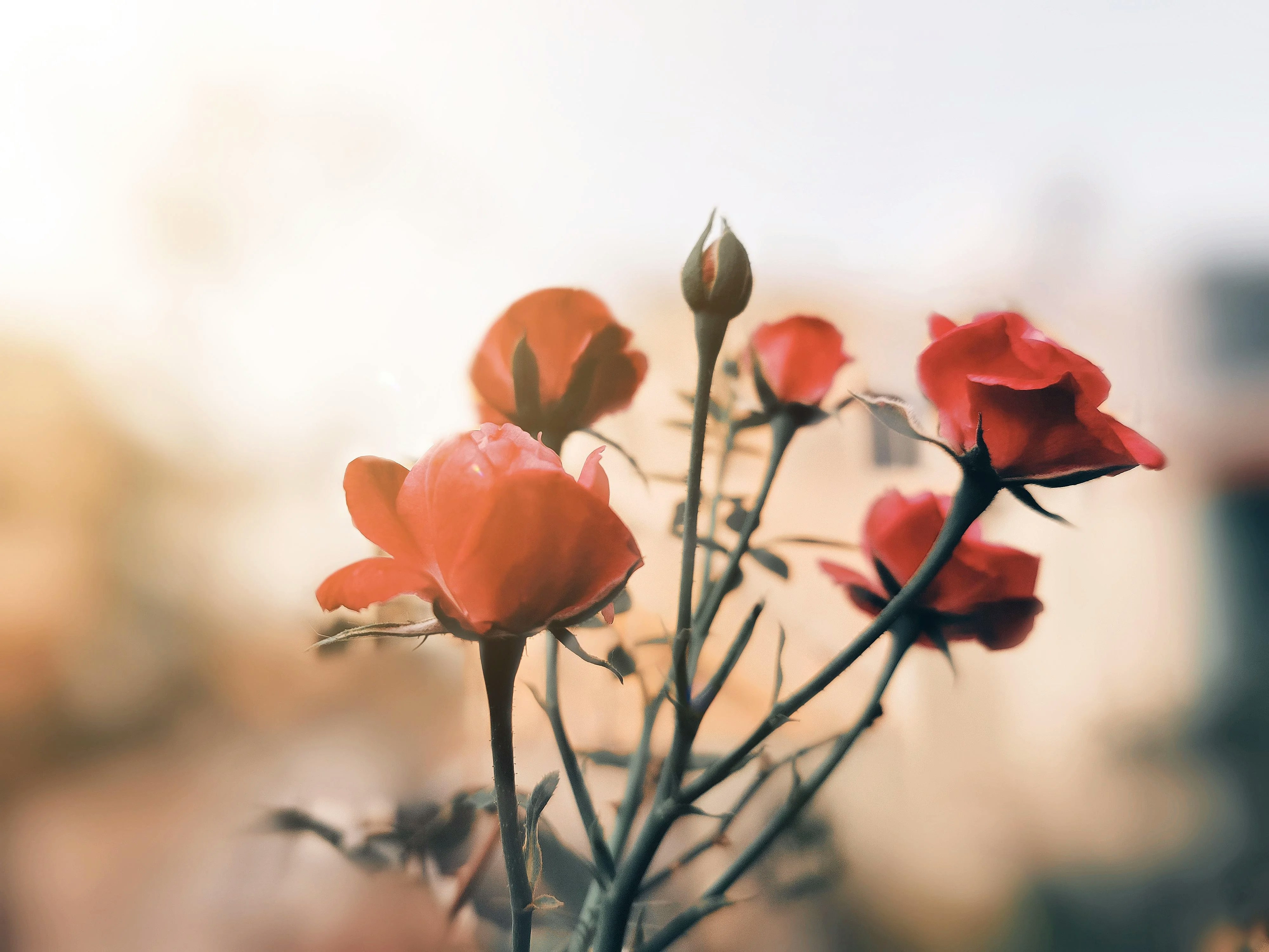 Photo by m_nandurkar