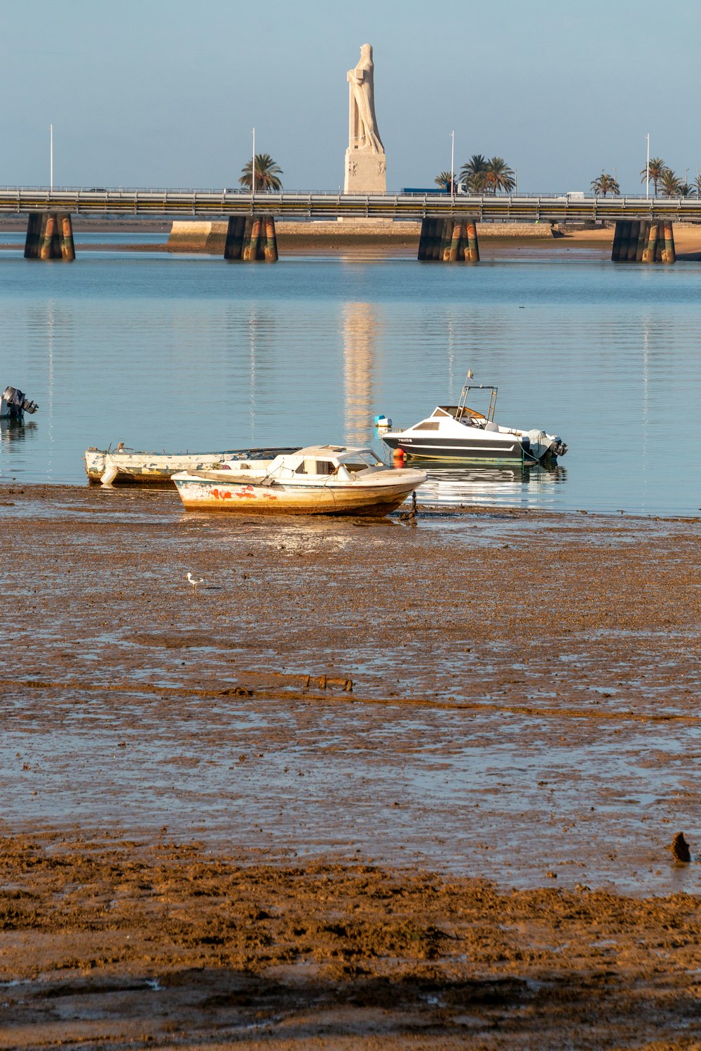 boats in the water