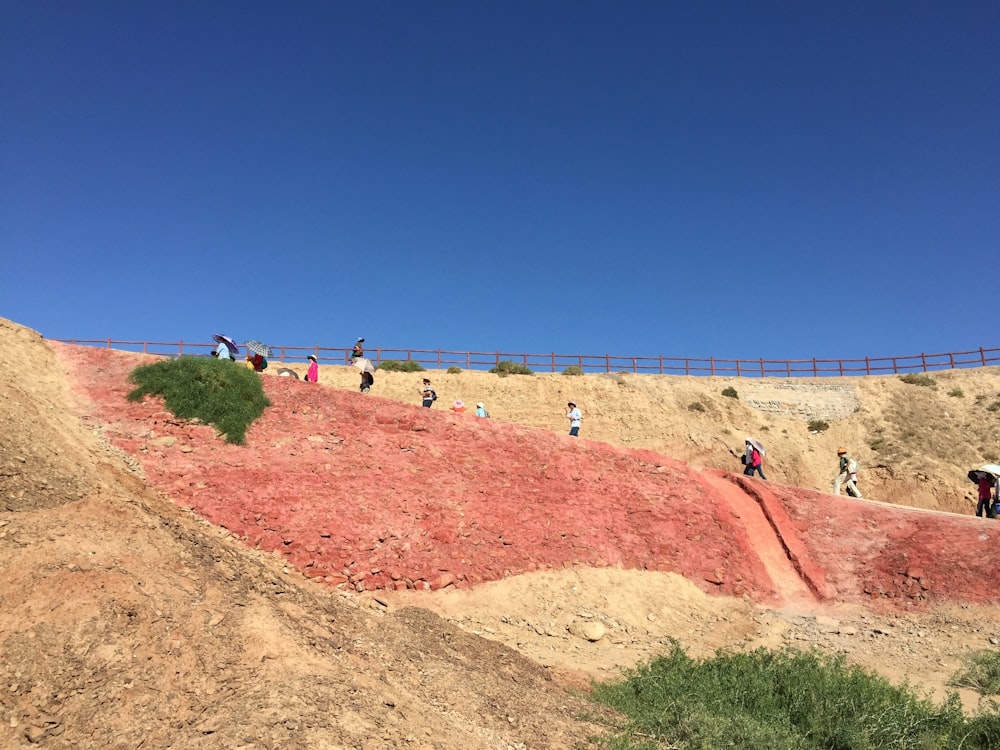 a group of people walking on a dirt path