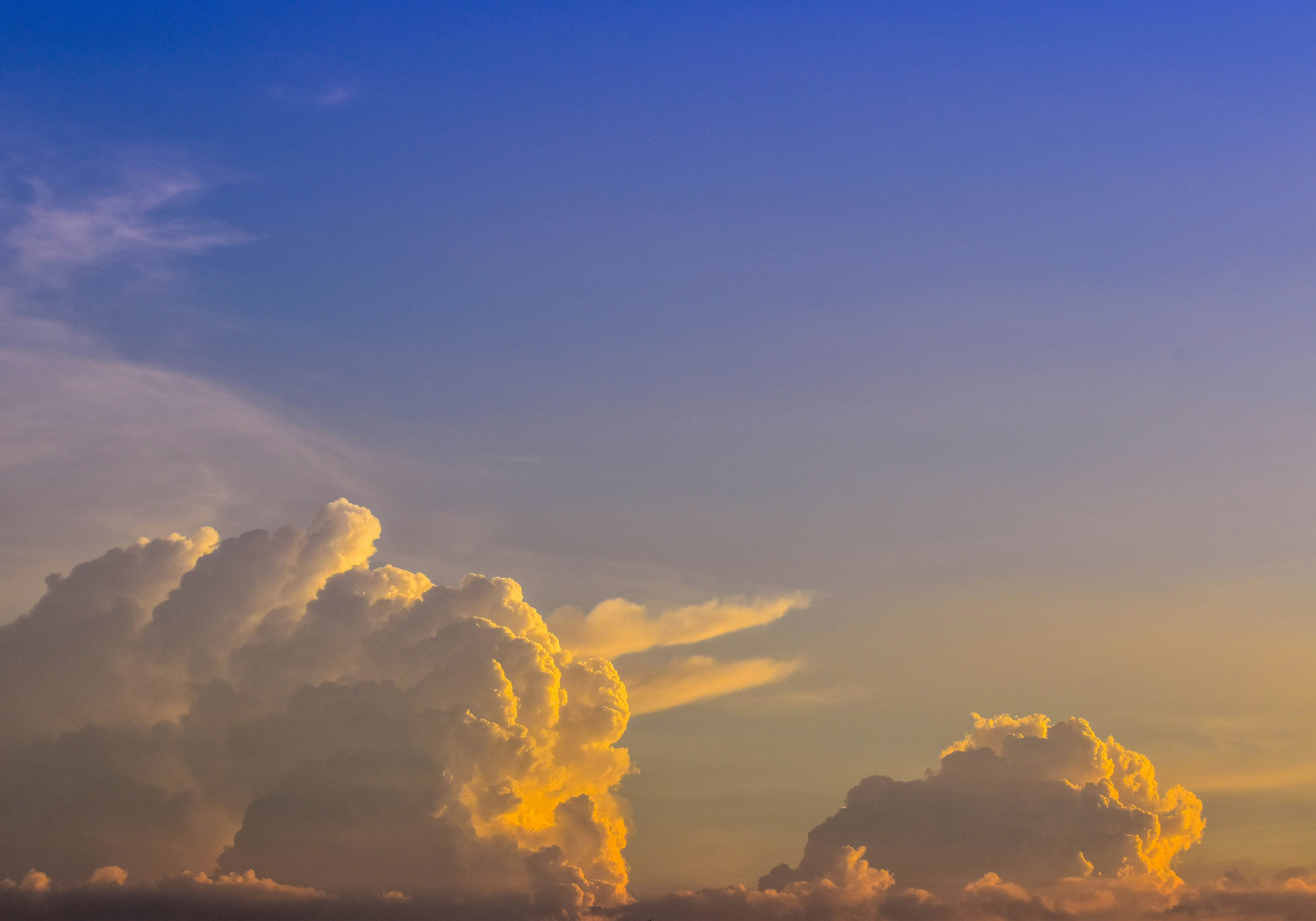 Photo by navi_photography