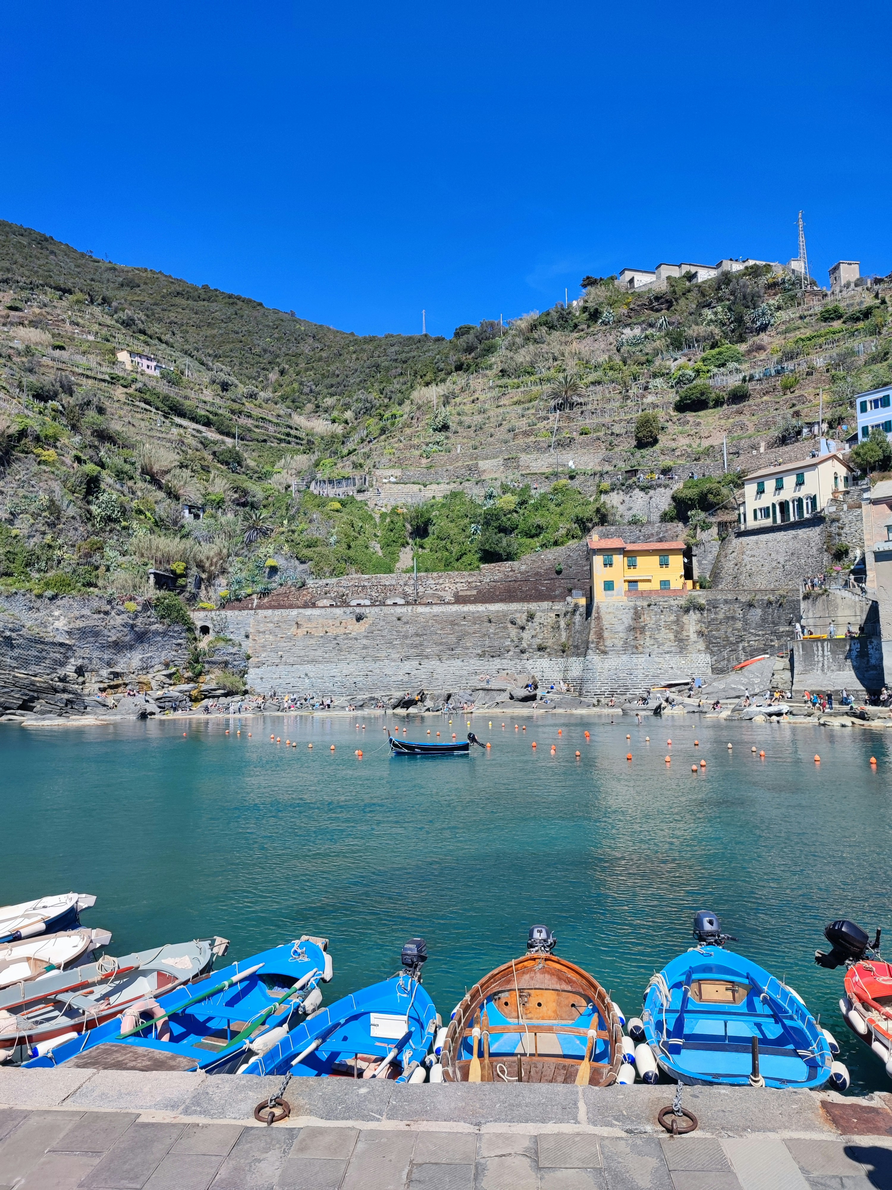 boats on the water