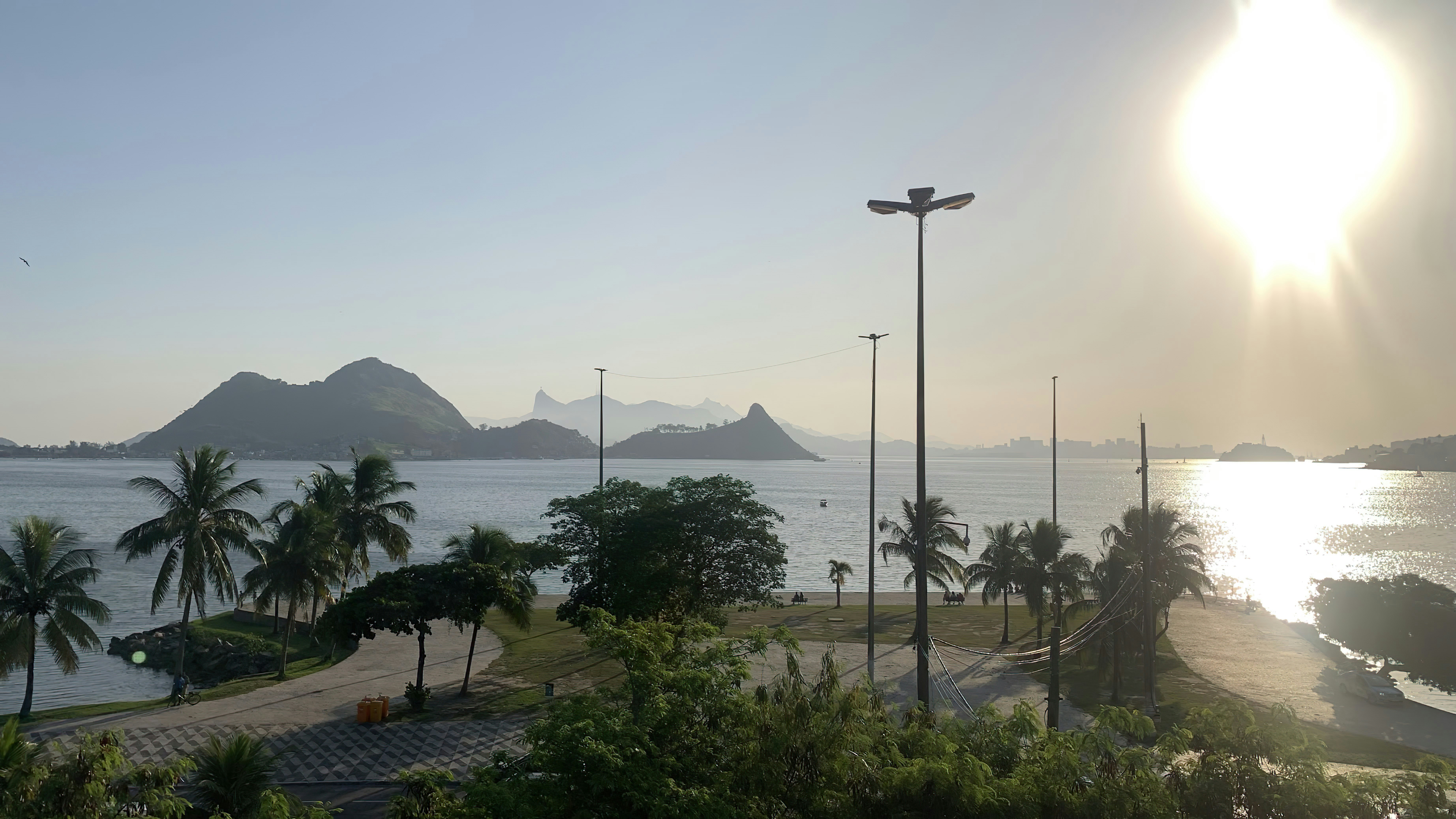 a beach with palm trees and a body of water