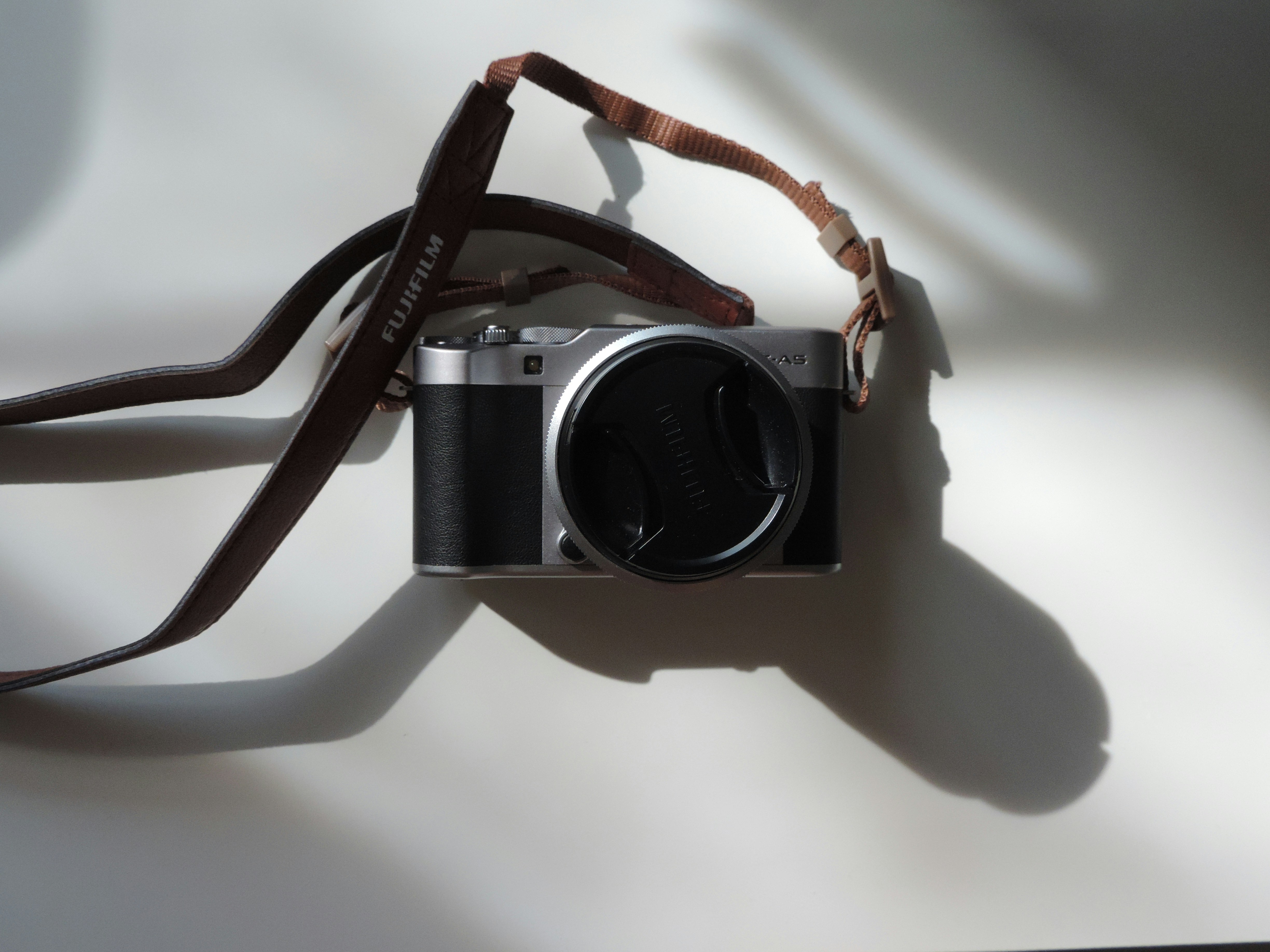 Photo by azzurobudgie