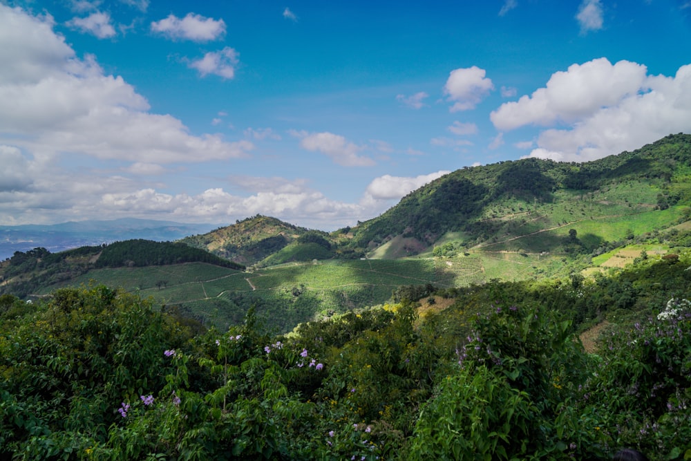 a landscape with hills and trees