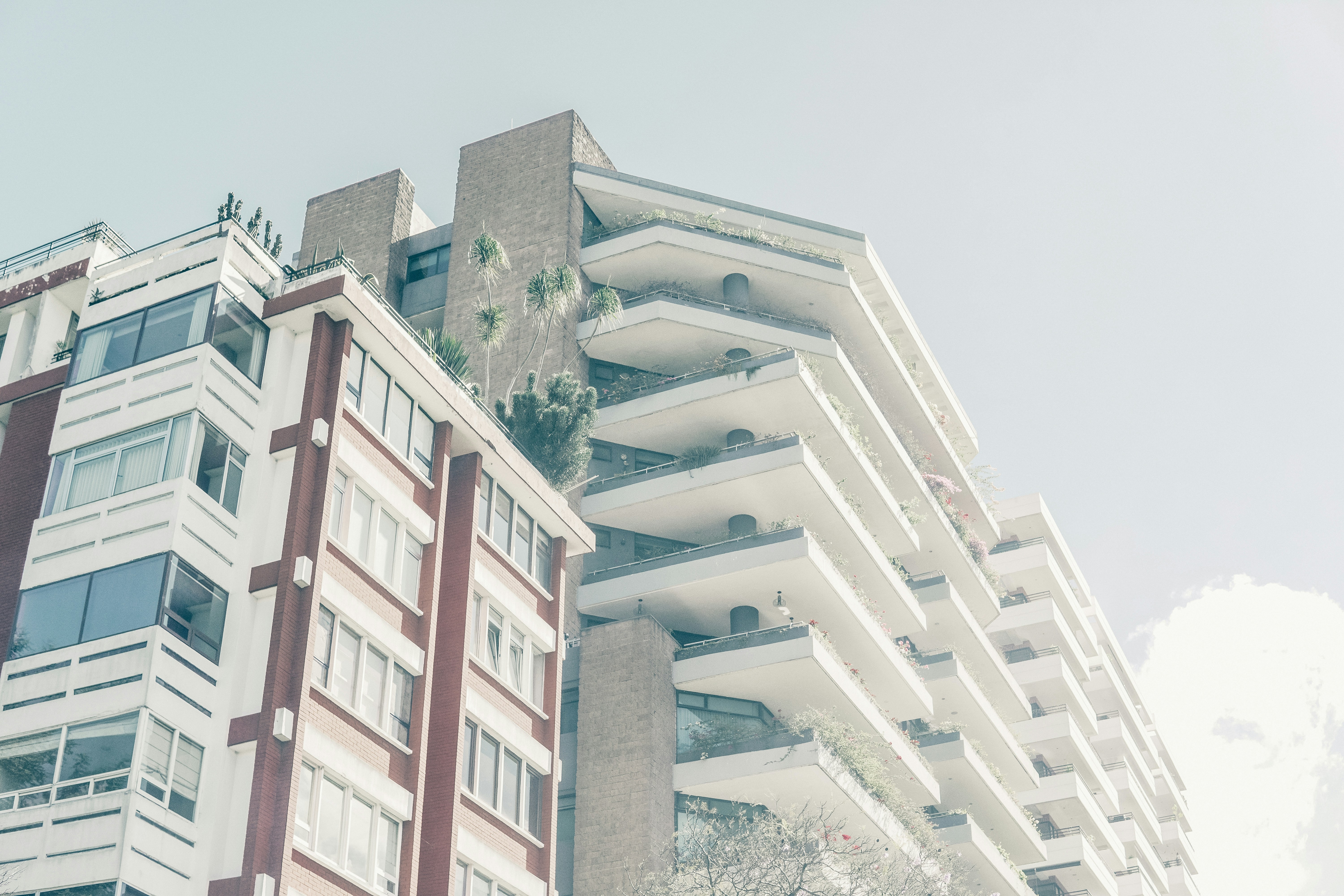 Photo by chrisagarcia