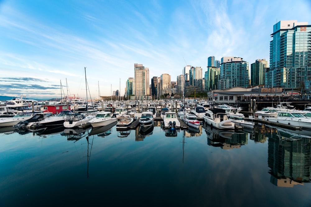 a marina with many boats