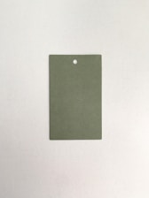 A rectangular paper card with a hole at the top center placed on a neutral, light background. The card is a muted green color.